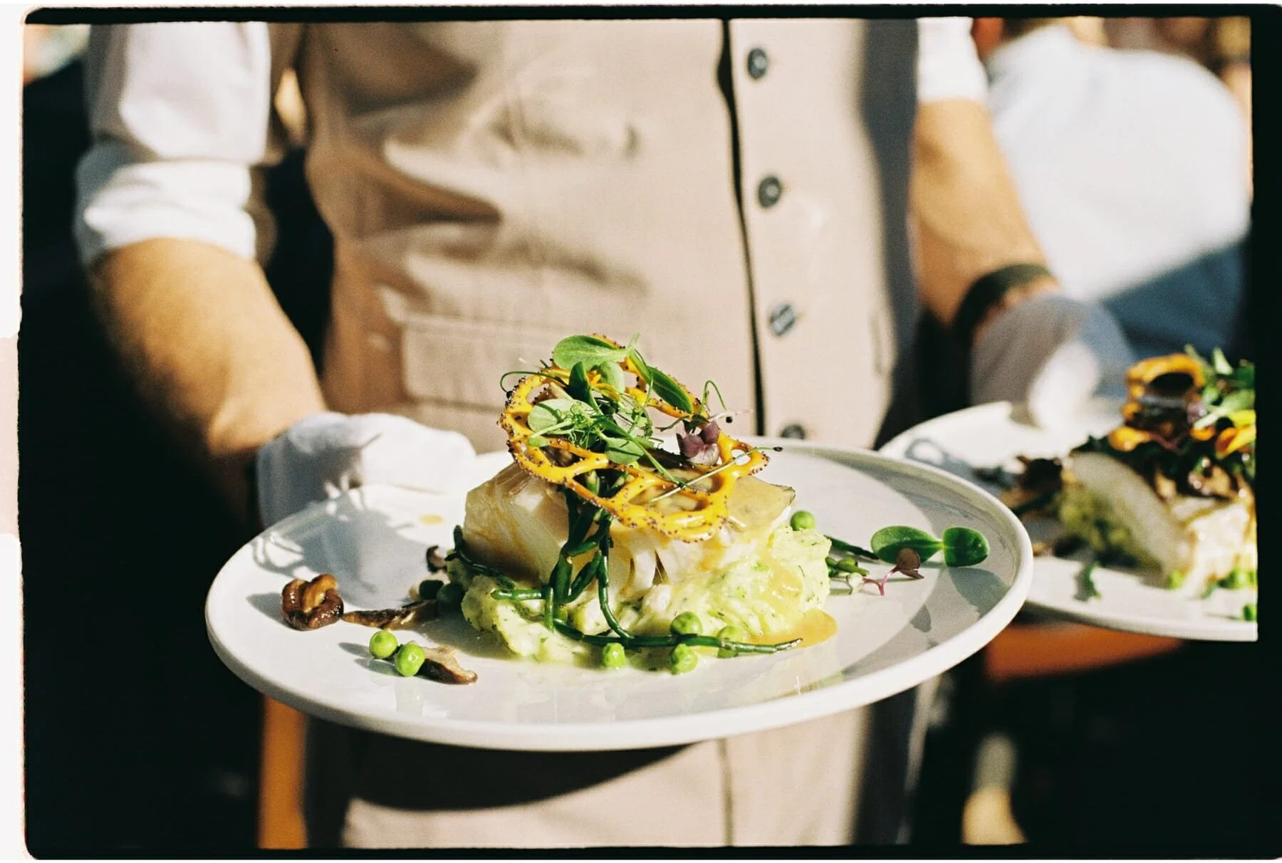 Ceos - Gold - 26.JPG