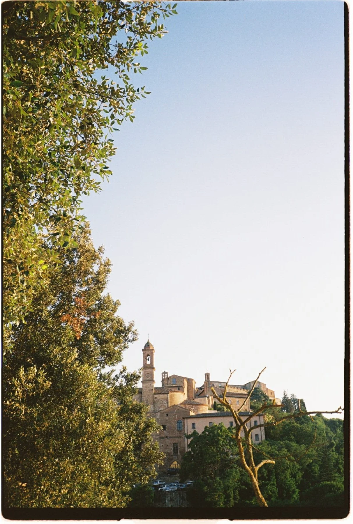 Olympus - Ultramax3.JPG