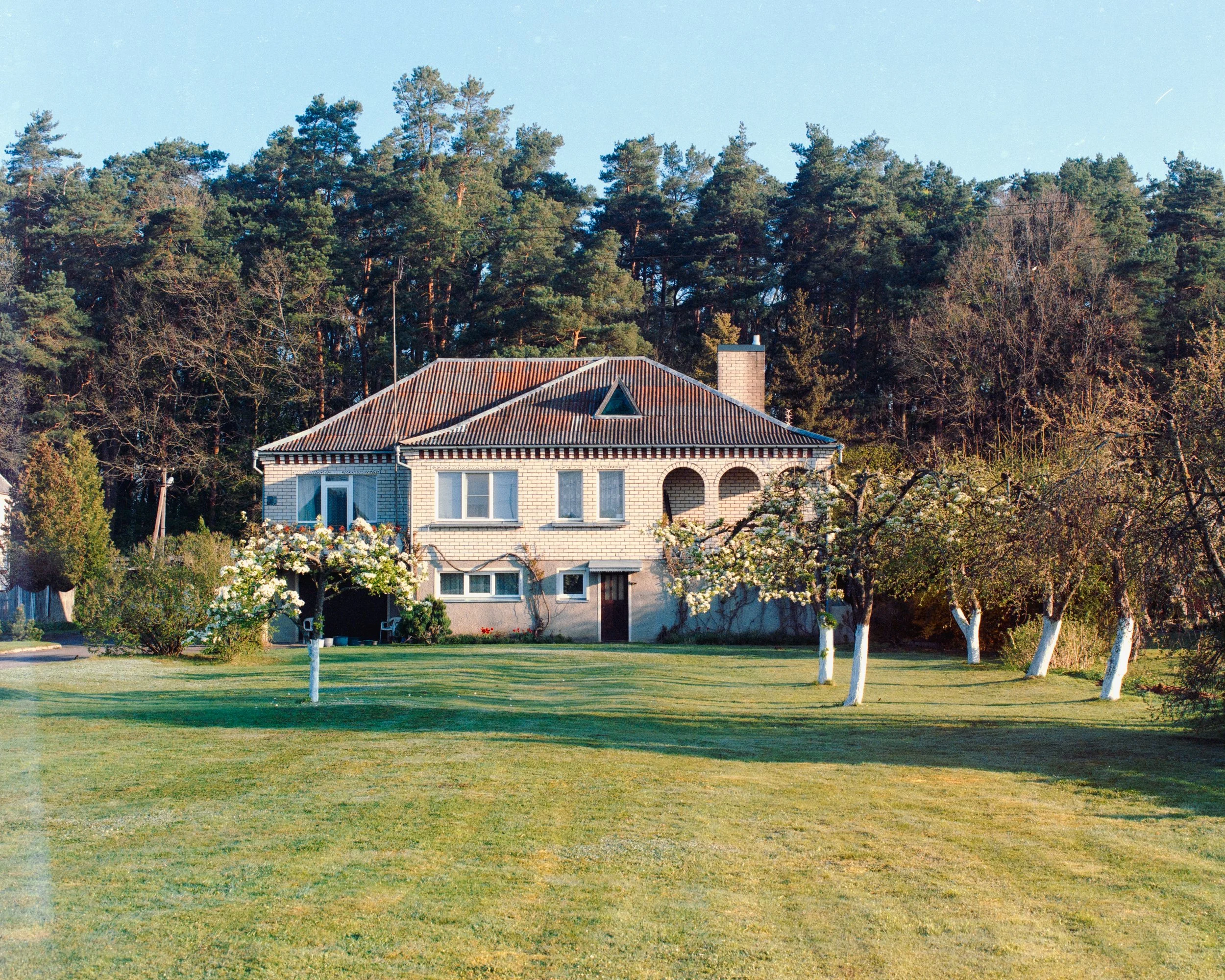 Arches and apple trees.