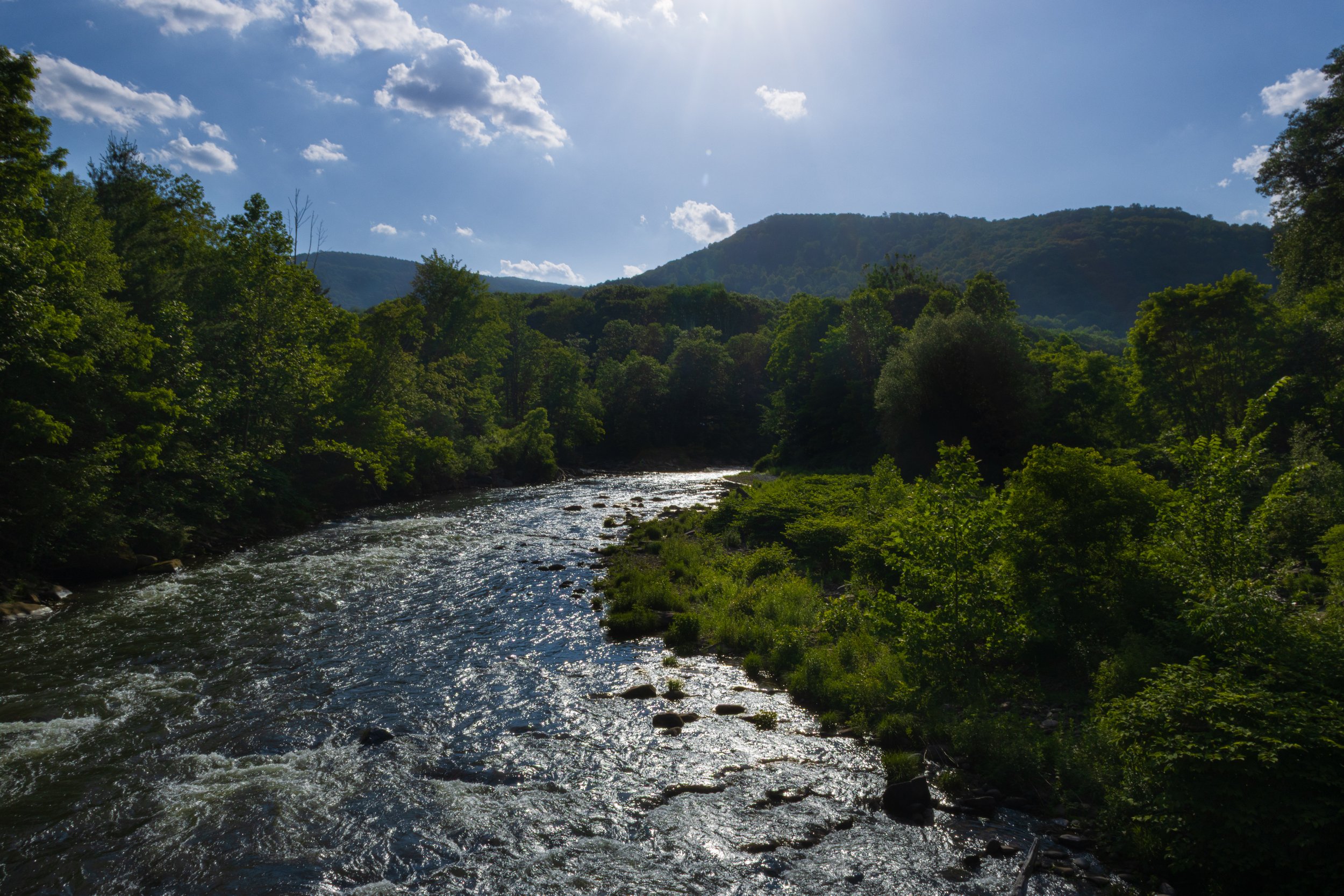 Woodland Valley