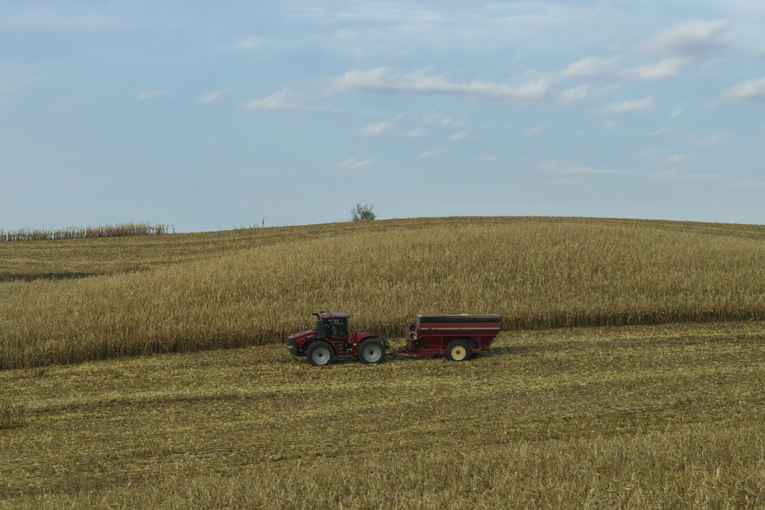 Harvester in a Field, Iowa, November 2024