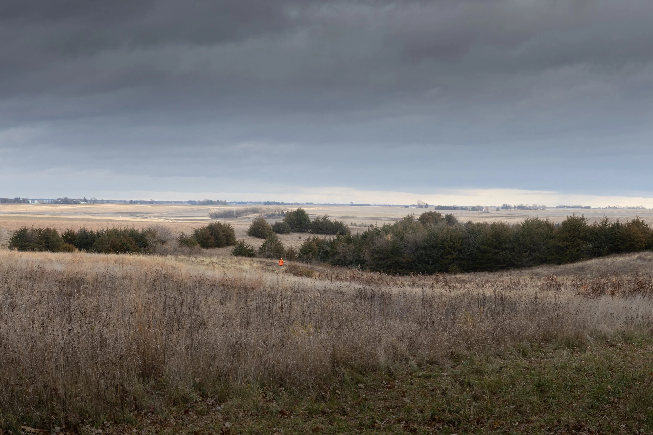 Rolling Fields, Iowa, November 2024