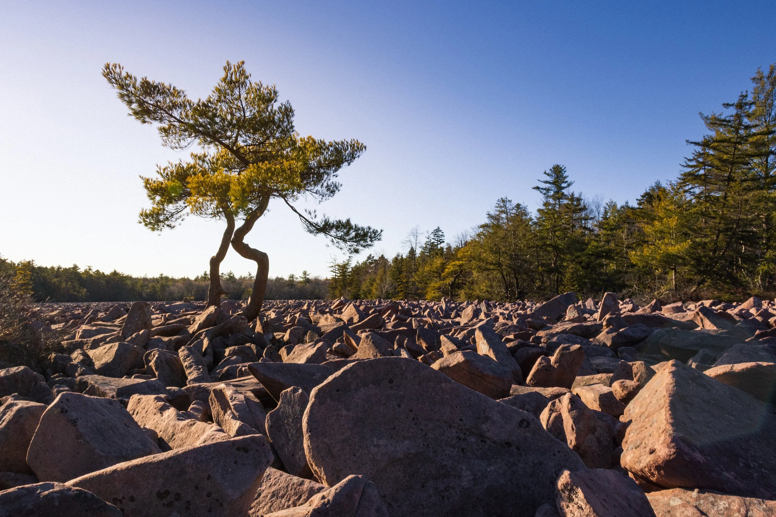 Hickory Run State Park, PA, December 2024 WEB.jpg