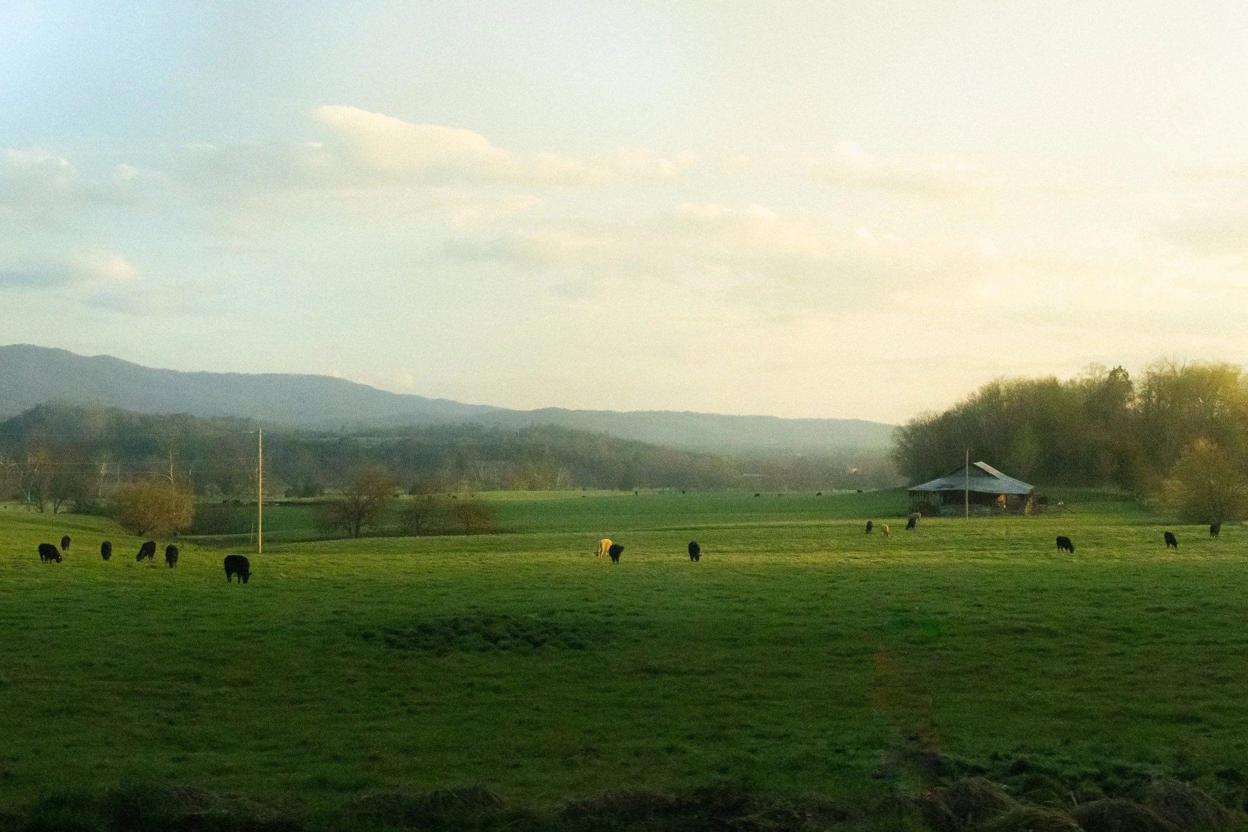 Near Roanoke, Virginia