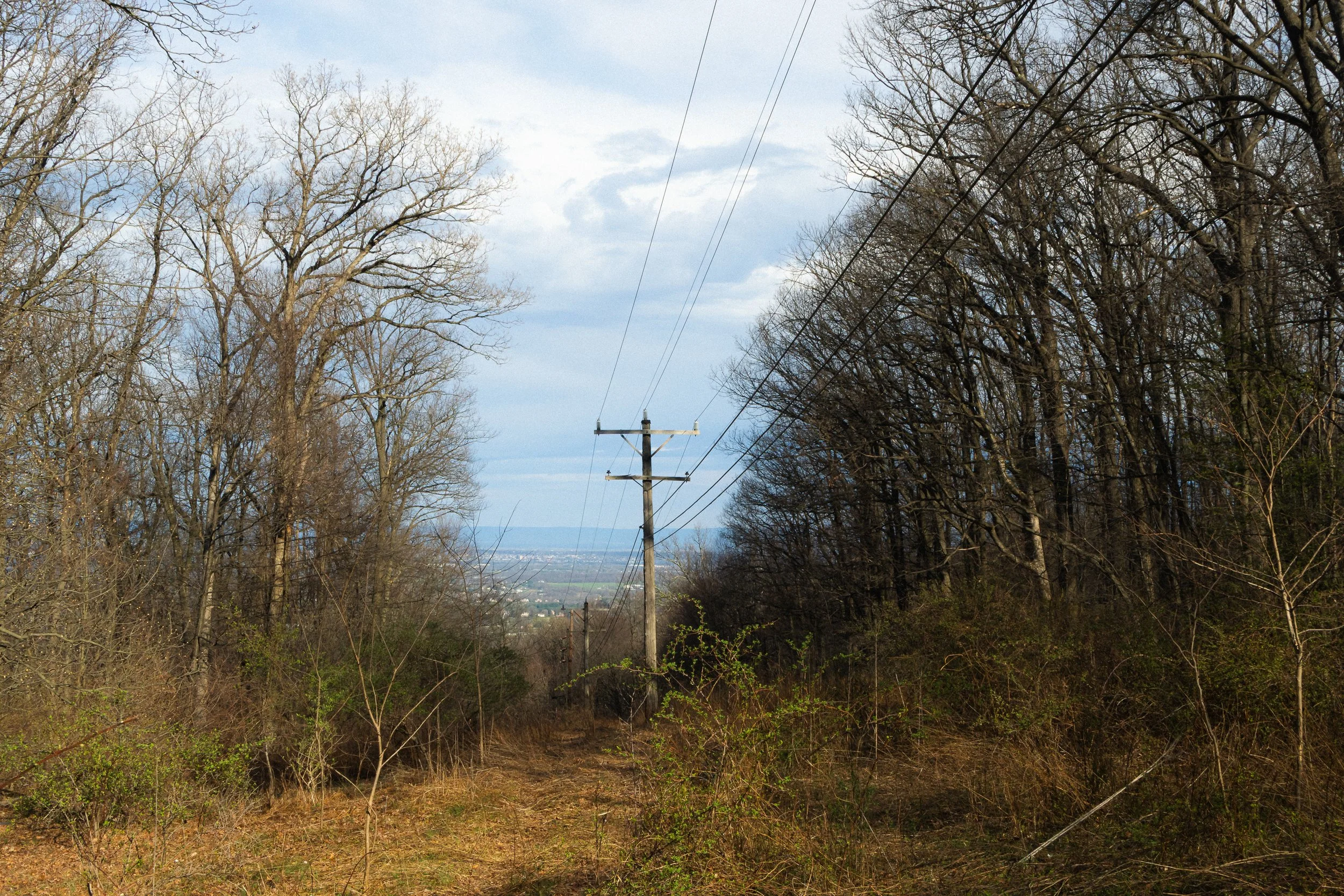 Along the AT, Maryland, April 2026.jpg