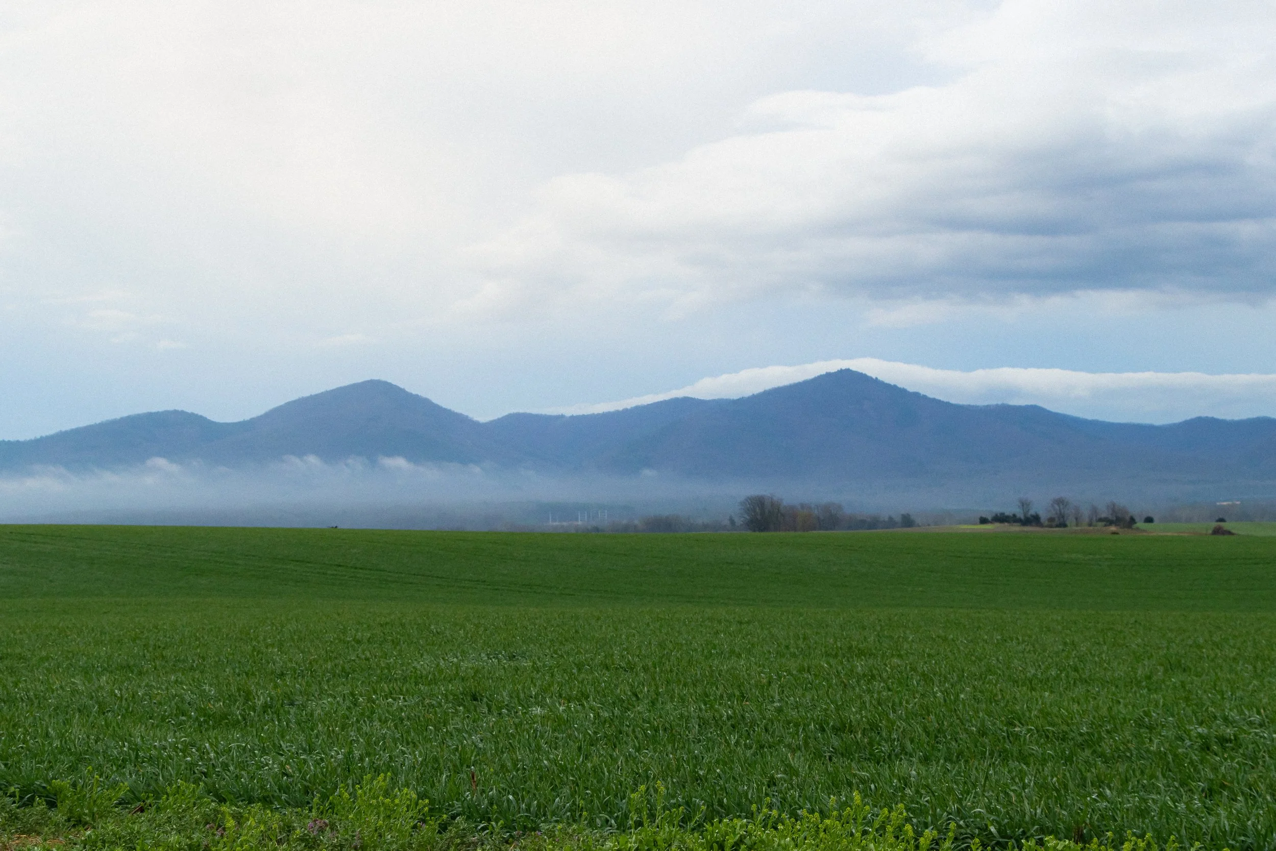 Near McGaheysville (5), Virginia, March 2026.jpg