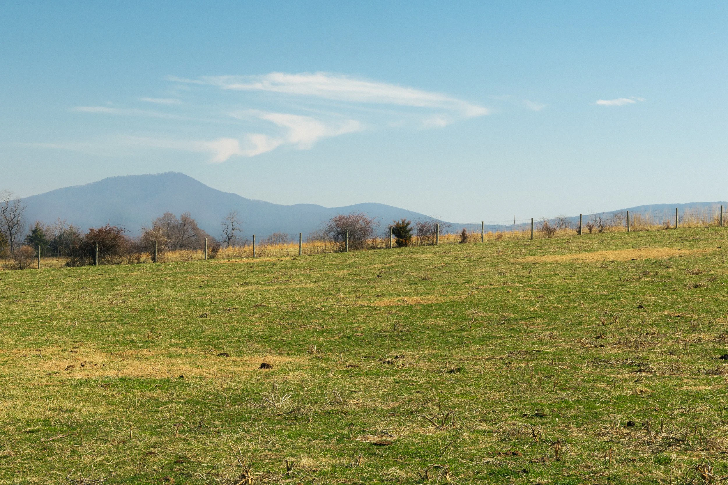 Virginia, March 2026.jpg