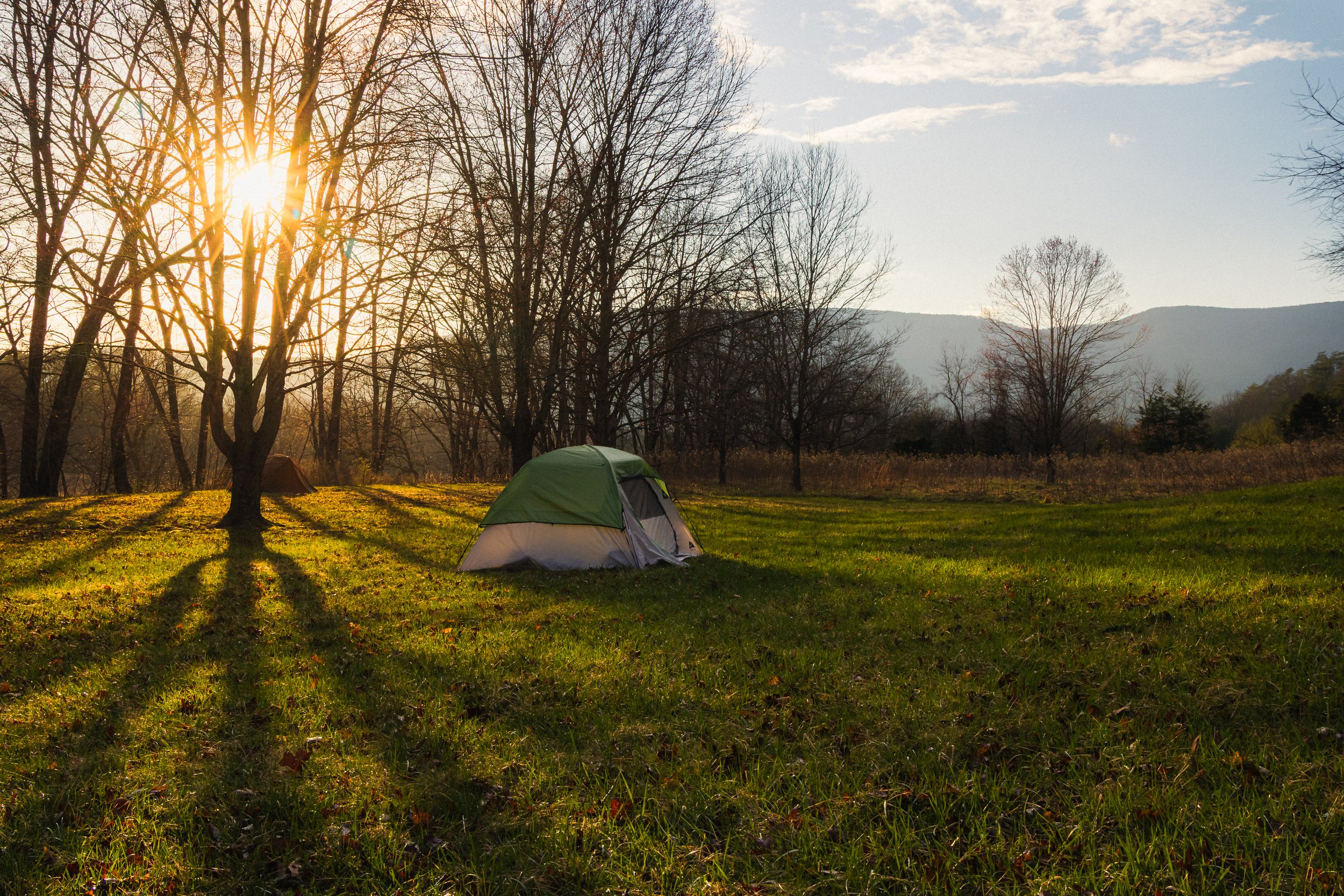 Campsite, Jefferson National Forest, Virginia, March 2026.jpg