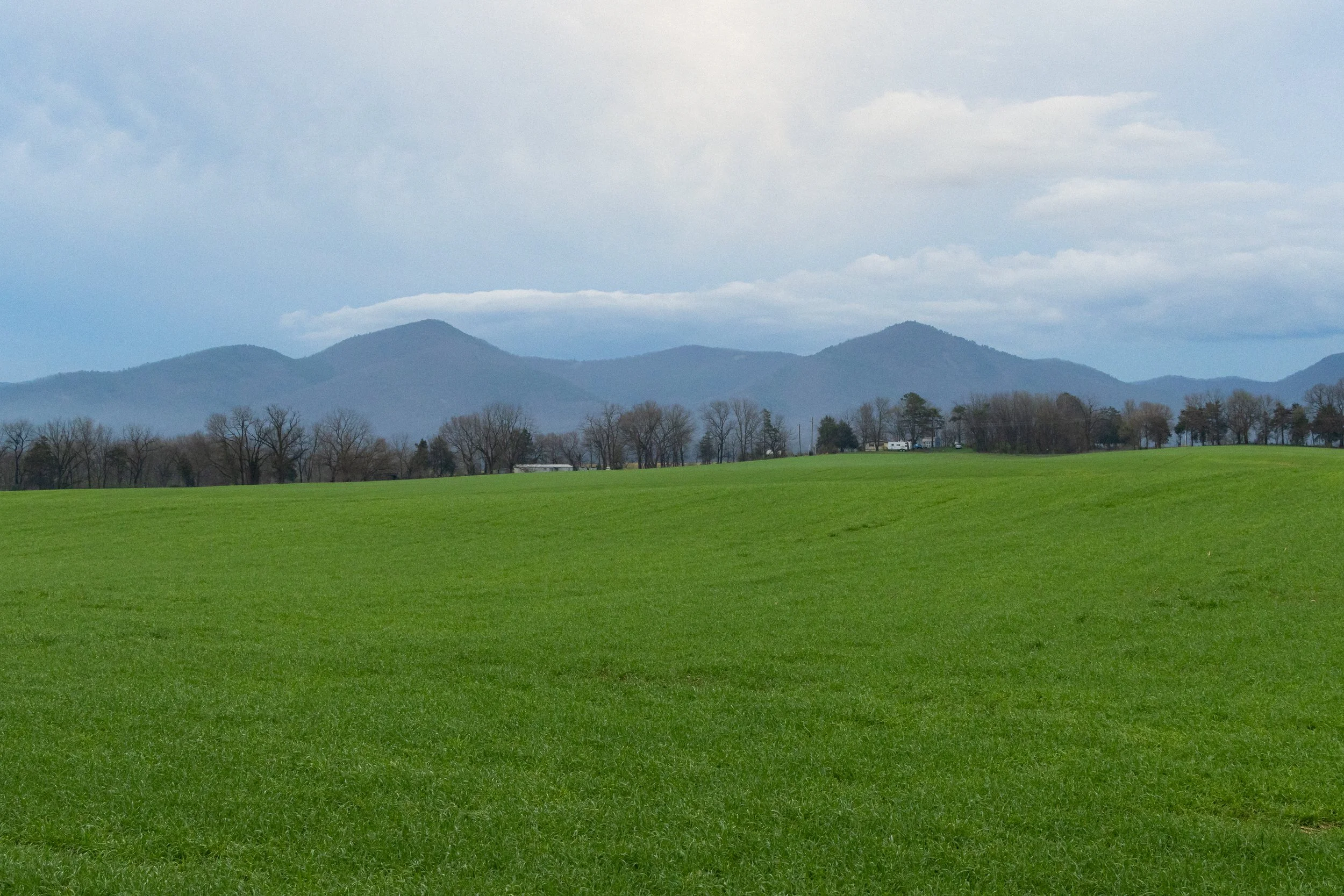 Near McGaheysville (2), Virginia, March 2026.jpg