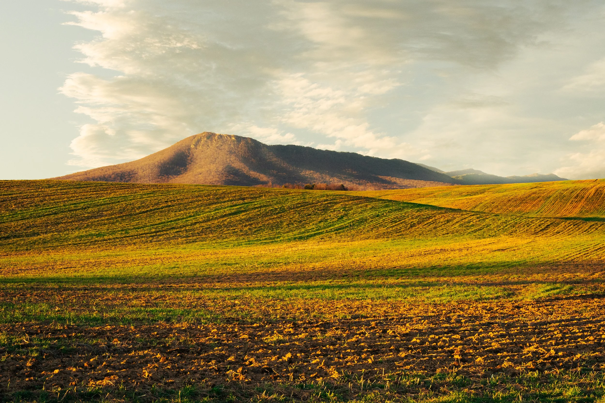Massanutten Mountain Fields, Northwest Virginia, March 2026.jpg
