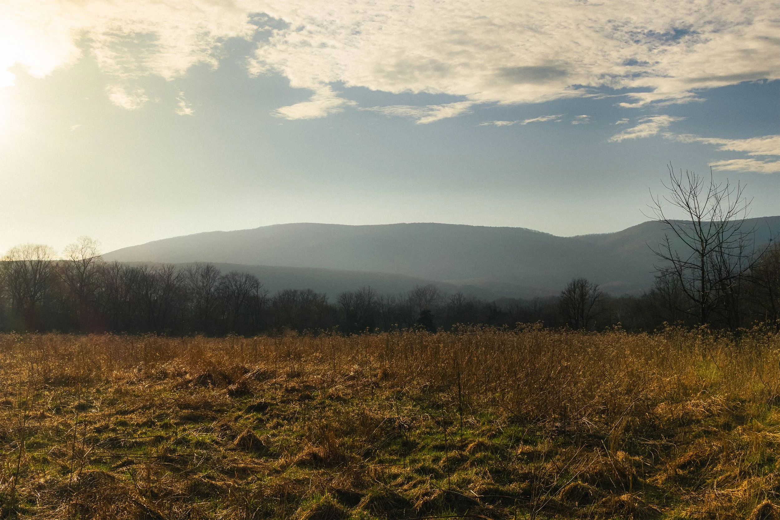 Almost Heaven, Jefferson National Forest, Virginia, March 2026.jpg