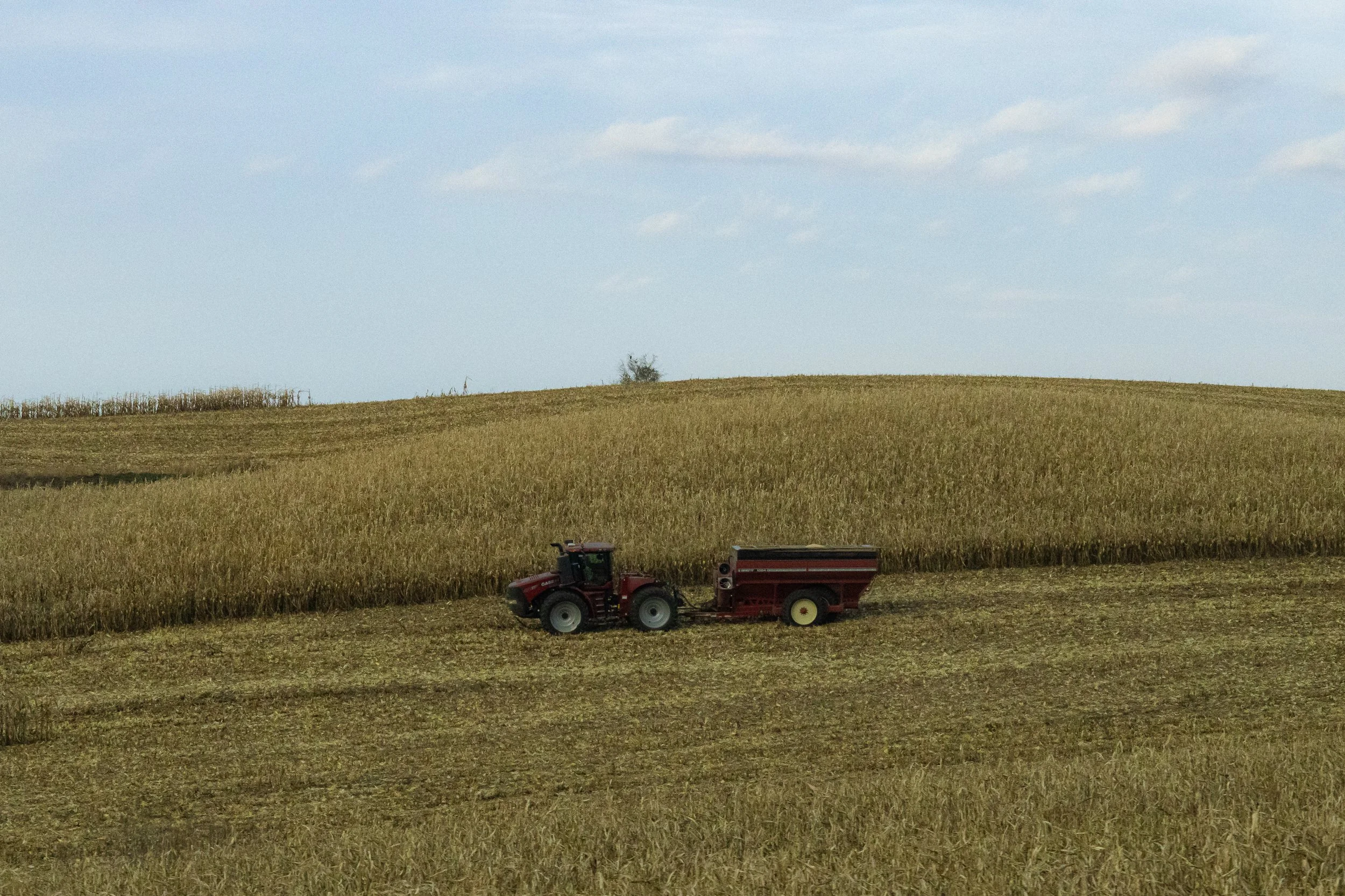 Iowa, November 2024 (8).jpg