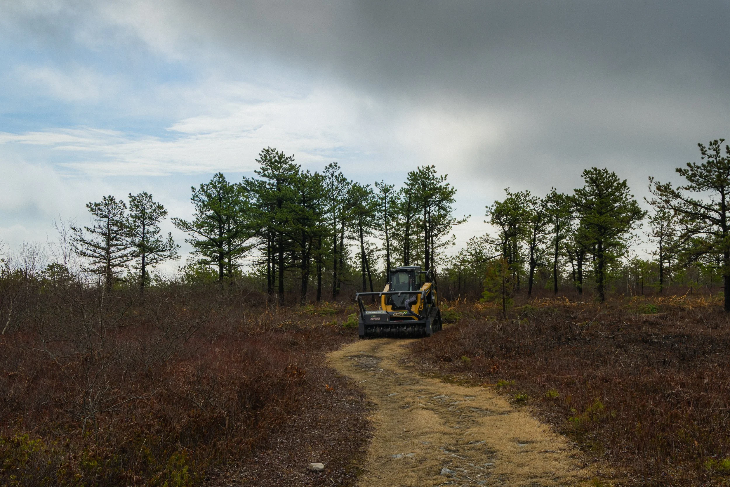 Moosic Mountain Hike, Pennsylvania, April 2026 (1).jpg