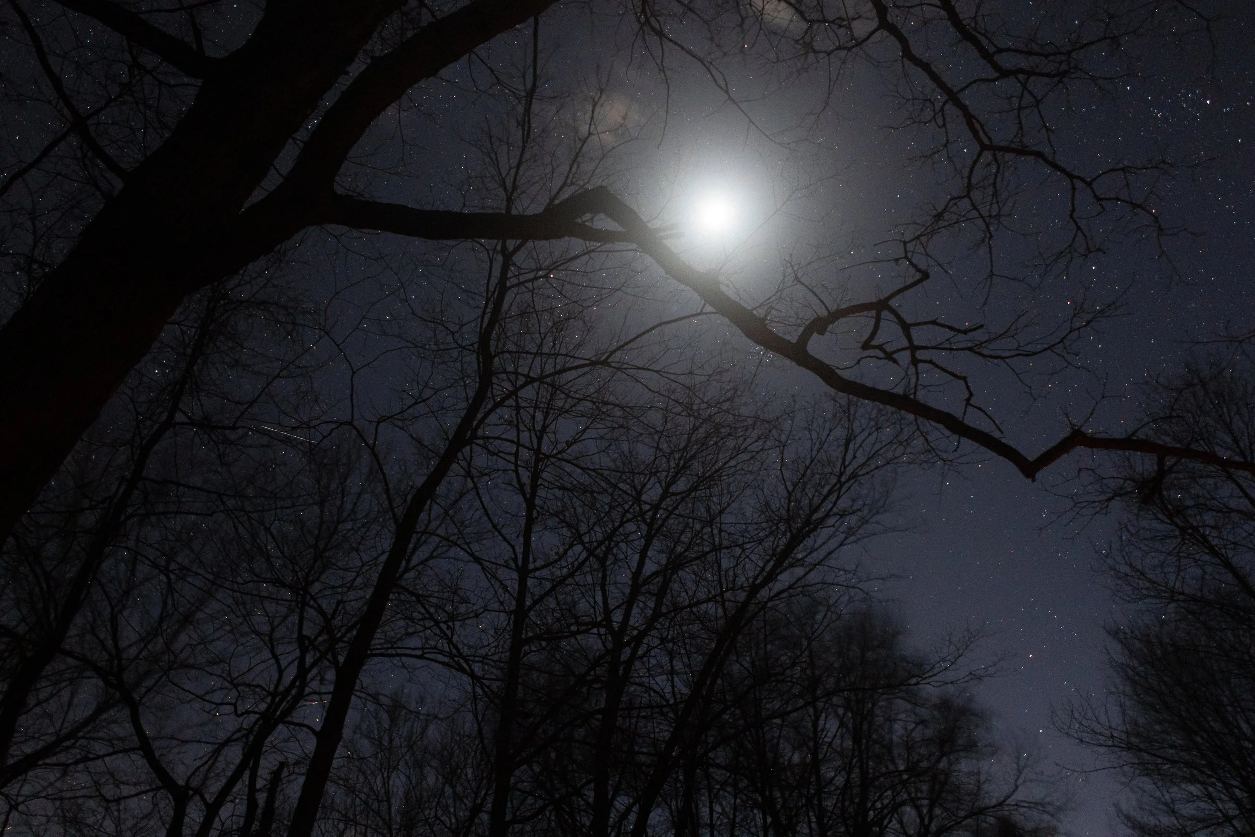 Moonlight Above Jefferson National Forest, Virginia, March 2026.jpg