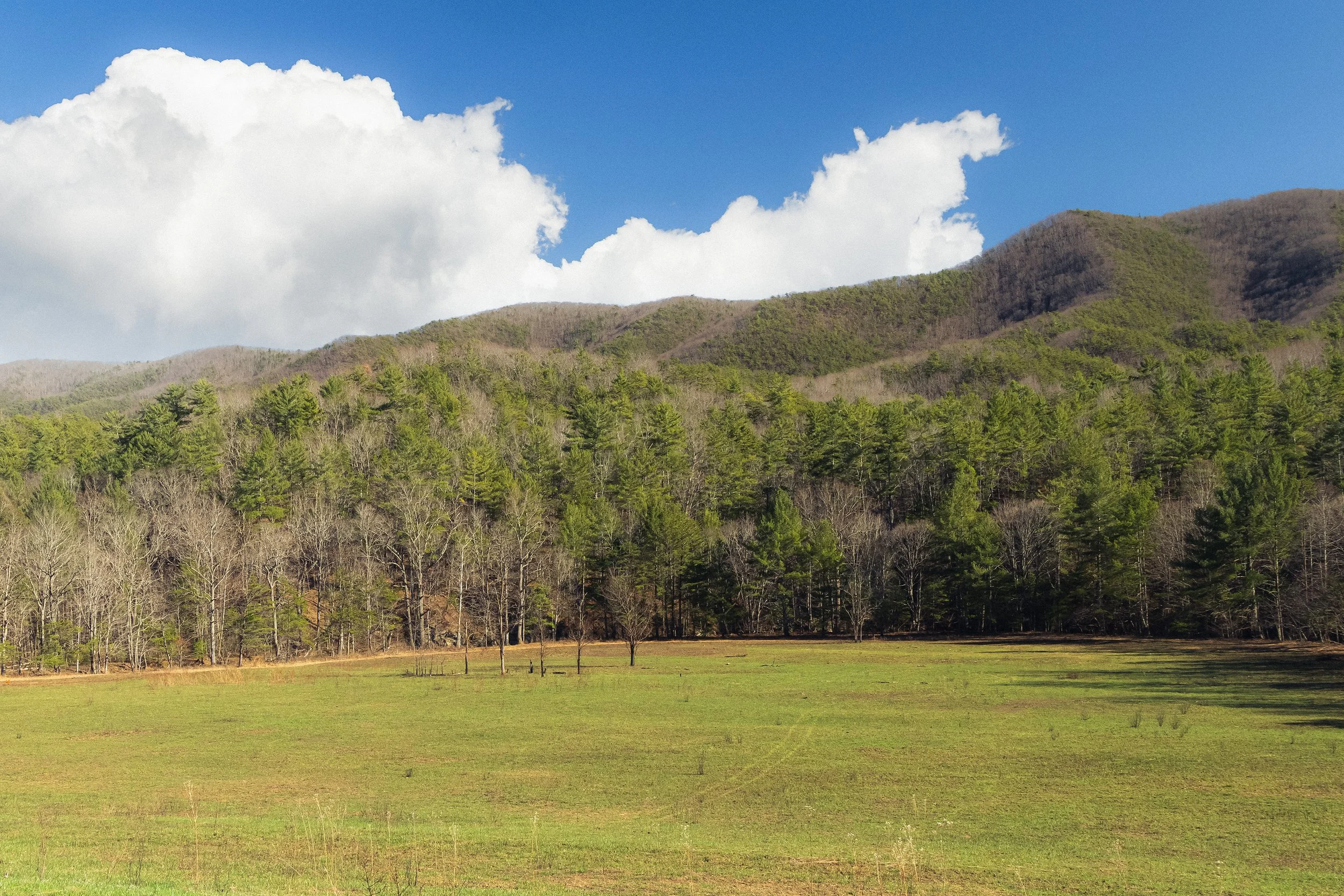 Blue Sky in Jefferson National Forest, Virginia, March 2026.jpg