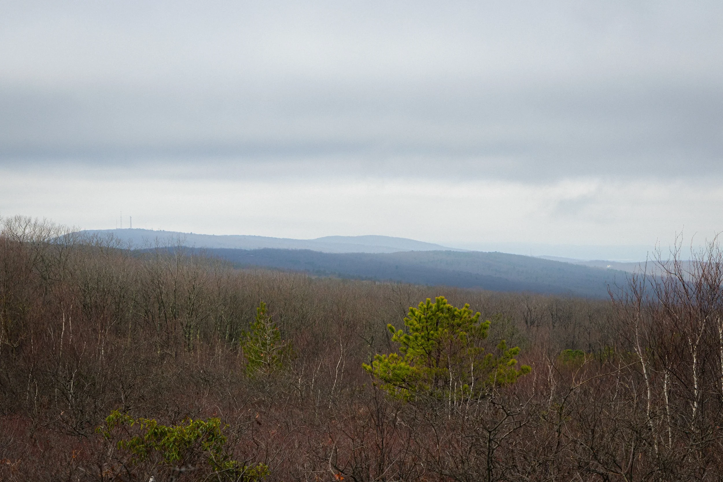Moosic Mountain Hike, Pennsylvania, April 2026 (4).jpg
