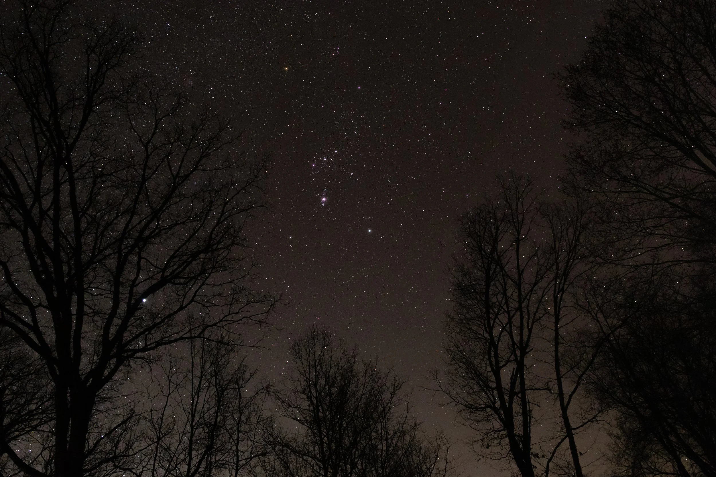 Orion the Hunter, Jefferson National Forest, Virginia, March 2026.jpg