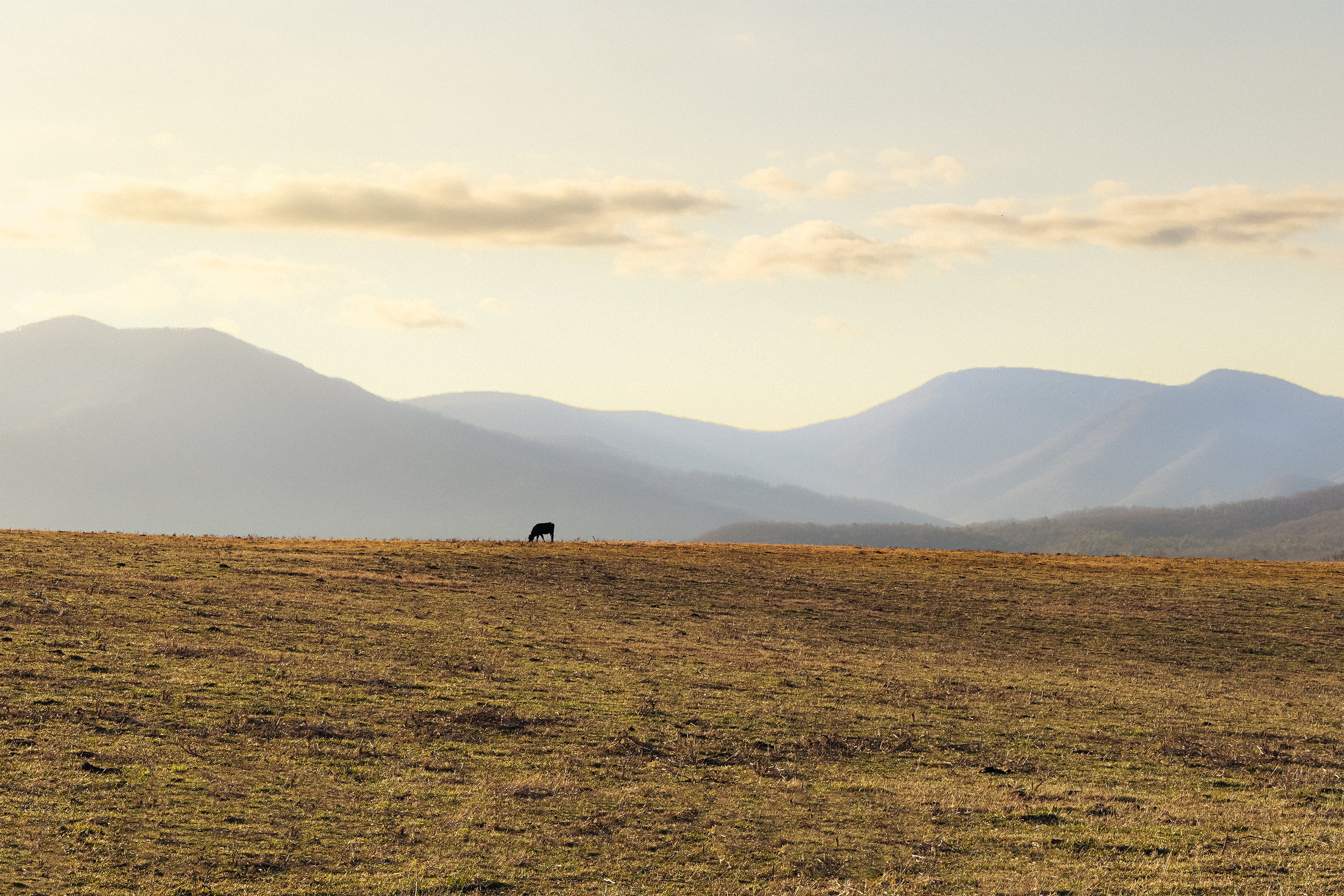 Blue Ridge Mountains, Virginia
