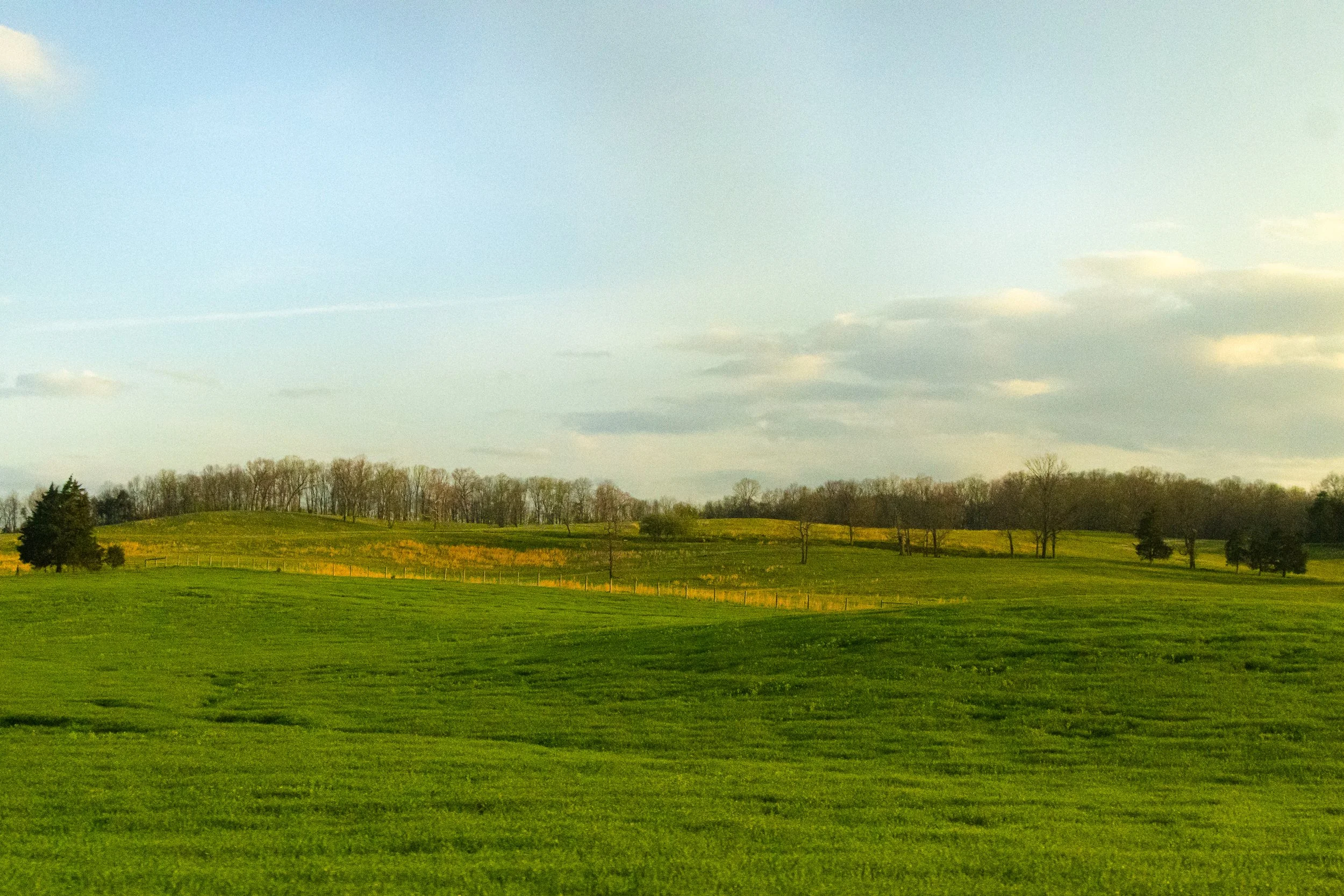 Fields Near Roanoke, Virginia, March 2026.jpg