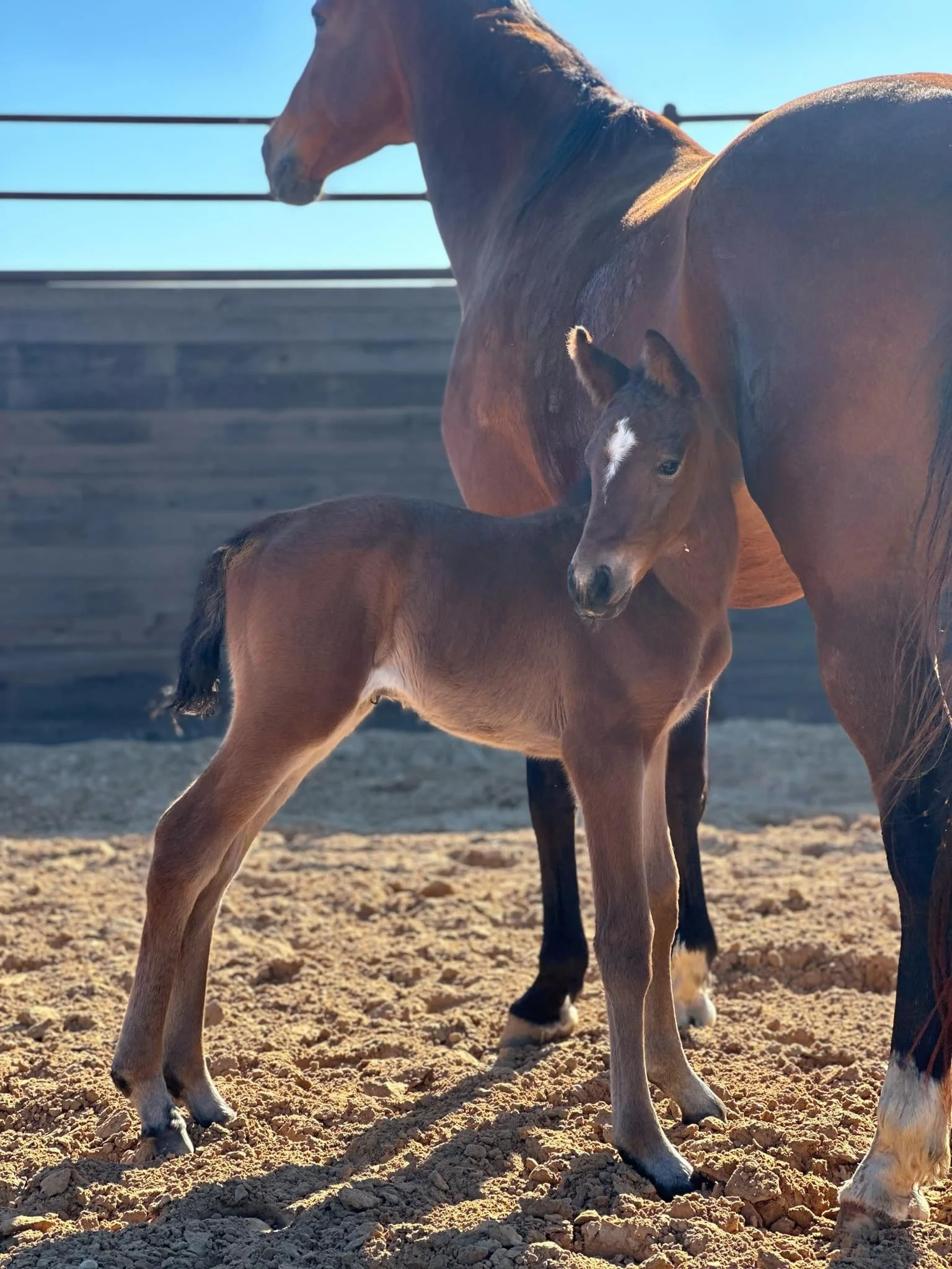 c33e2ba8-952c-4a2b-a863-32915e334830 - Edited.jpg