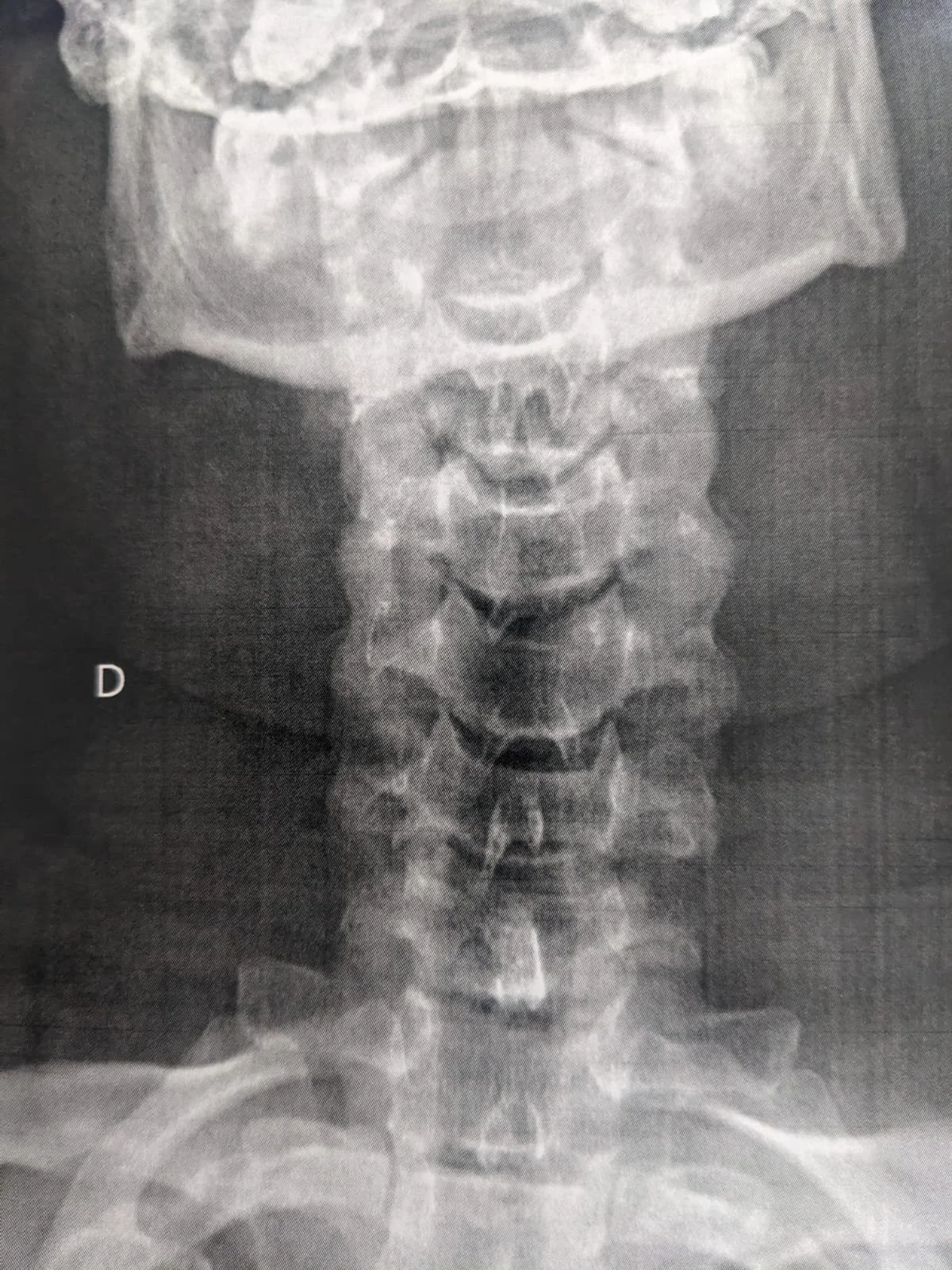 WhatsApp Image 2024-09-16 at 11.50.56.jpeg