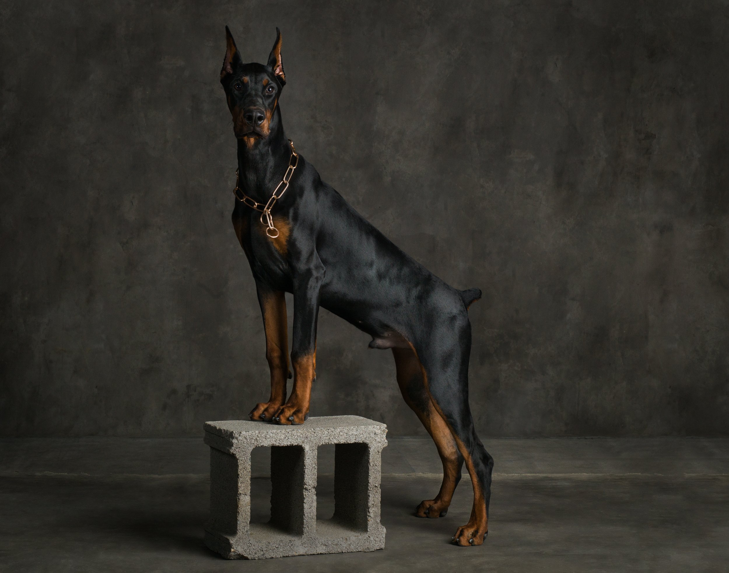 Miller, Karrissa _0078_DigitalNegative.jpg