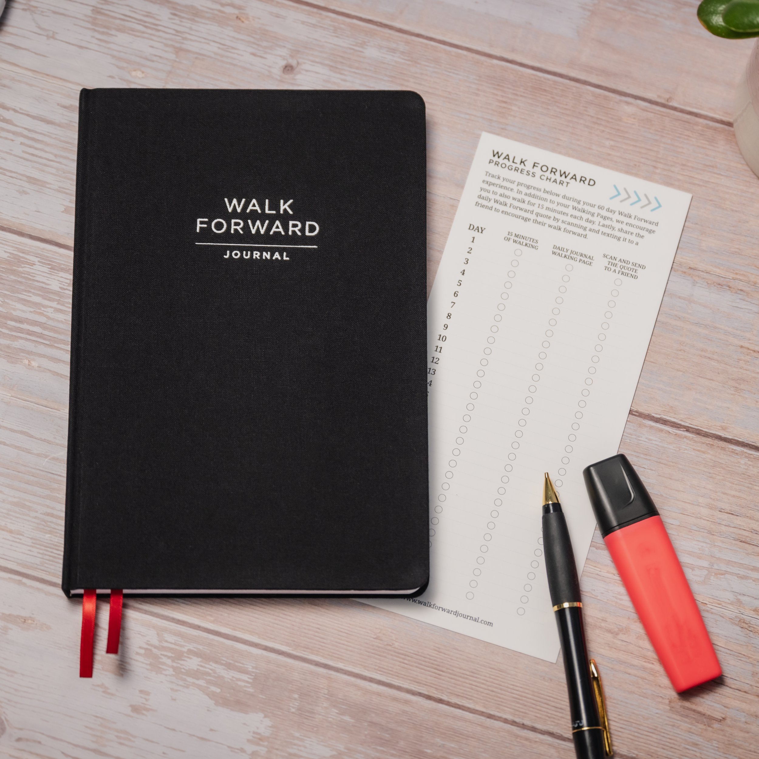 Walk Forward Journal Shoot-72.jpg