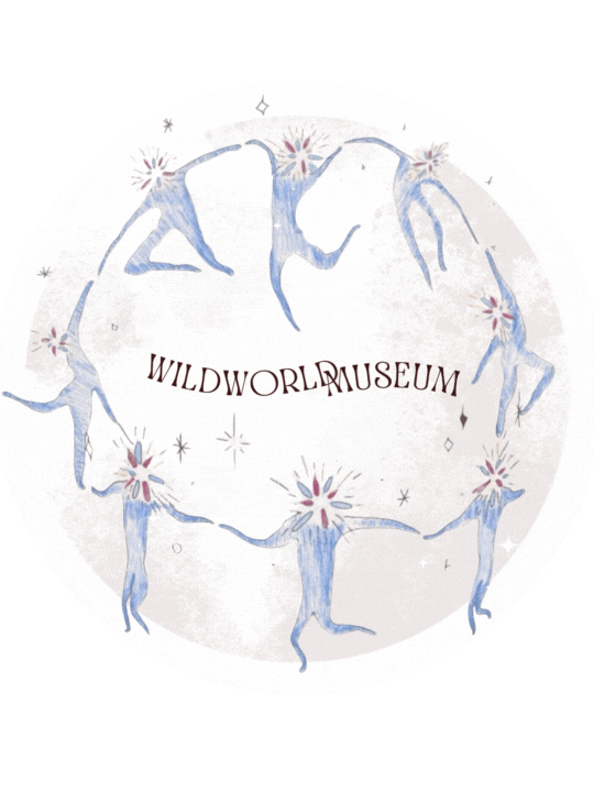 wildworldmuseum