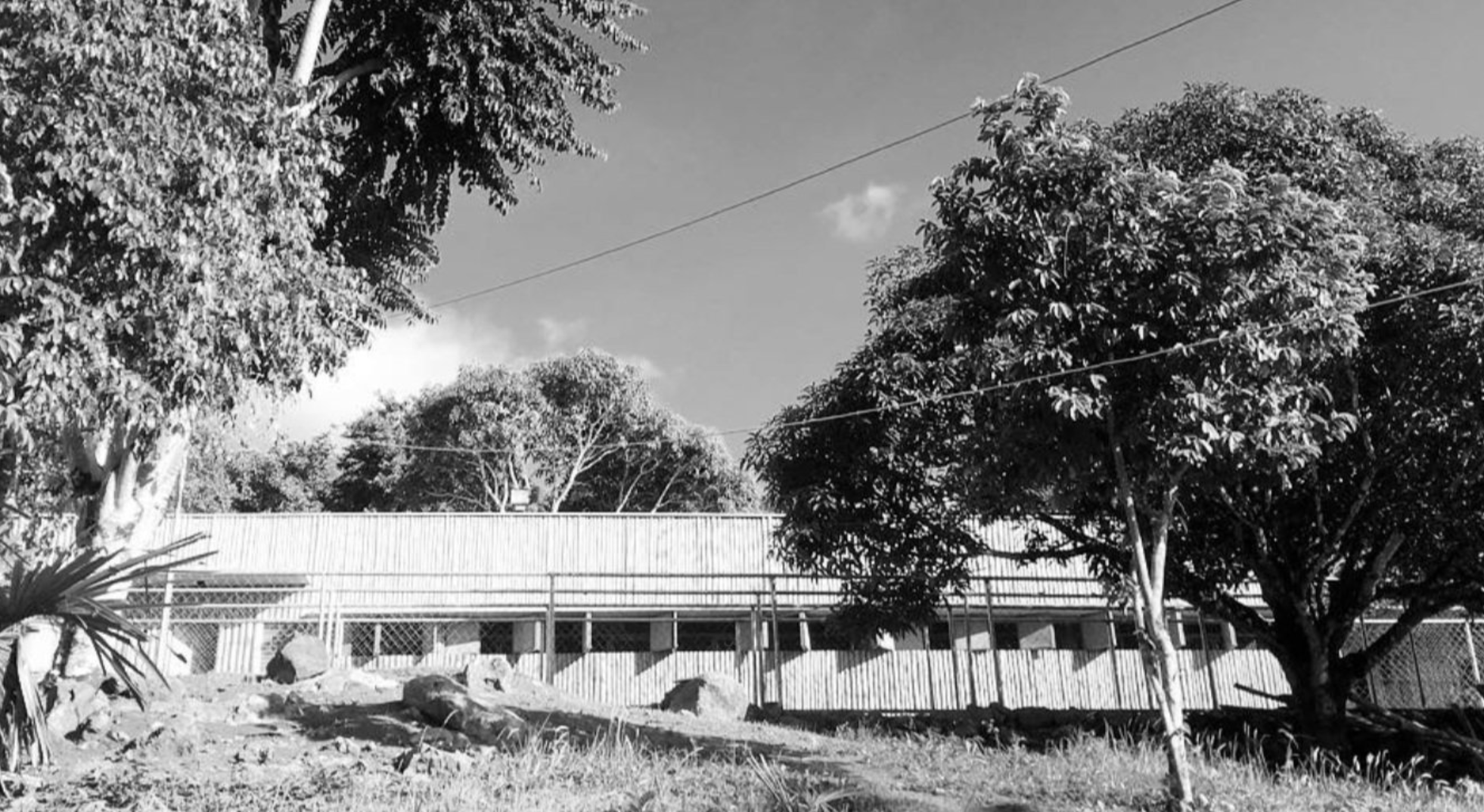 Bamboo Structure