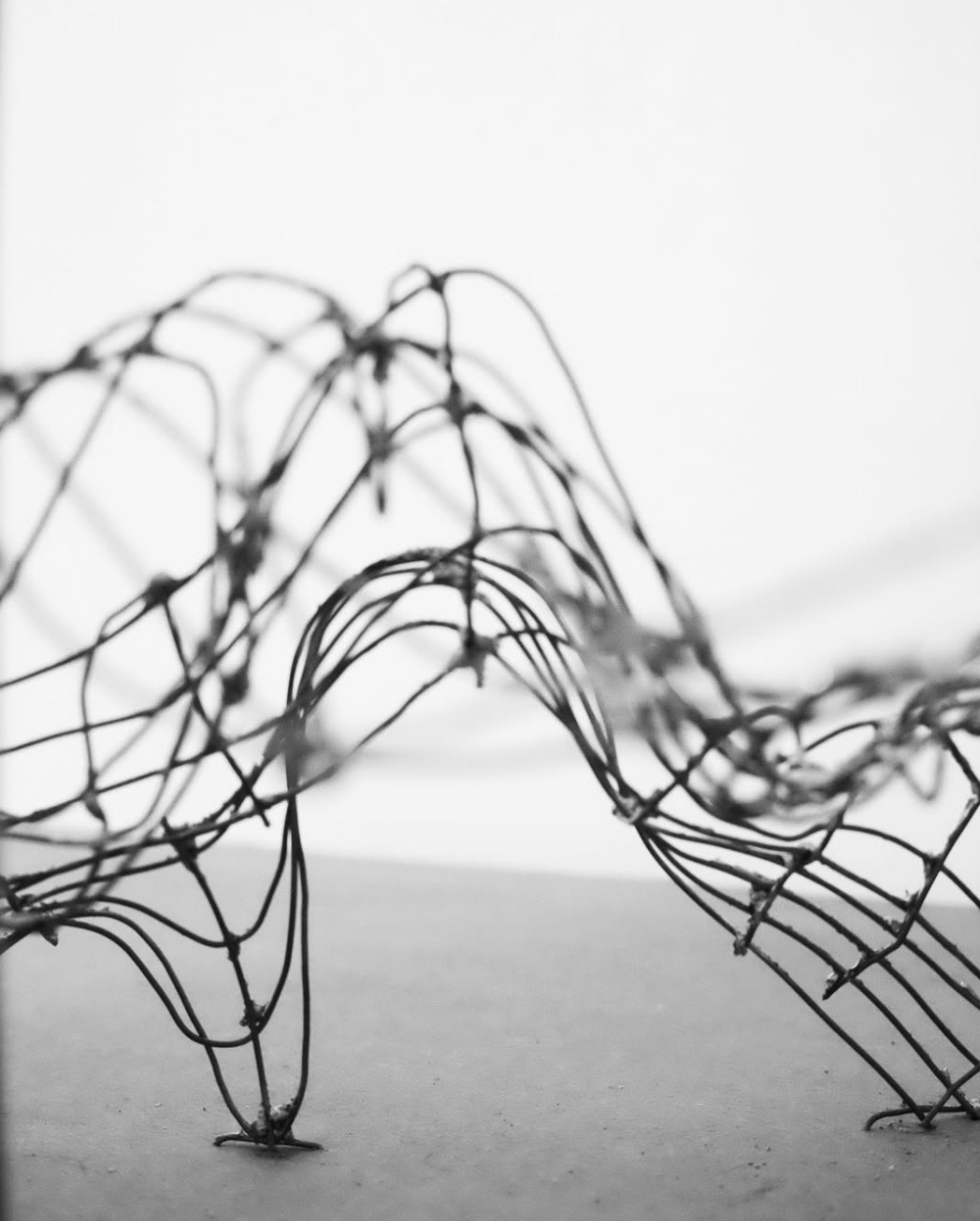 Canopy Study Model