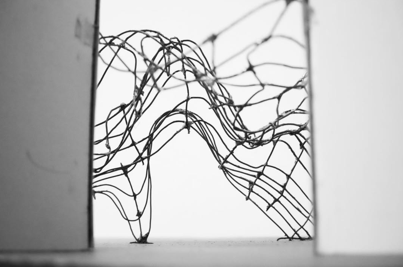 Canopy Study Model