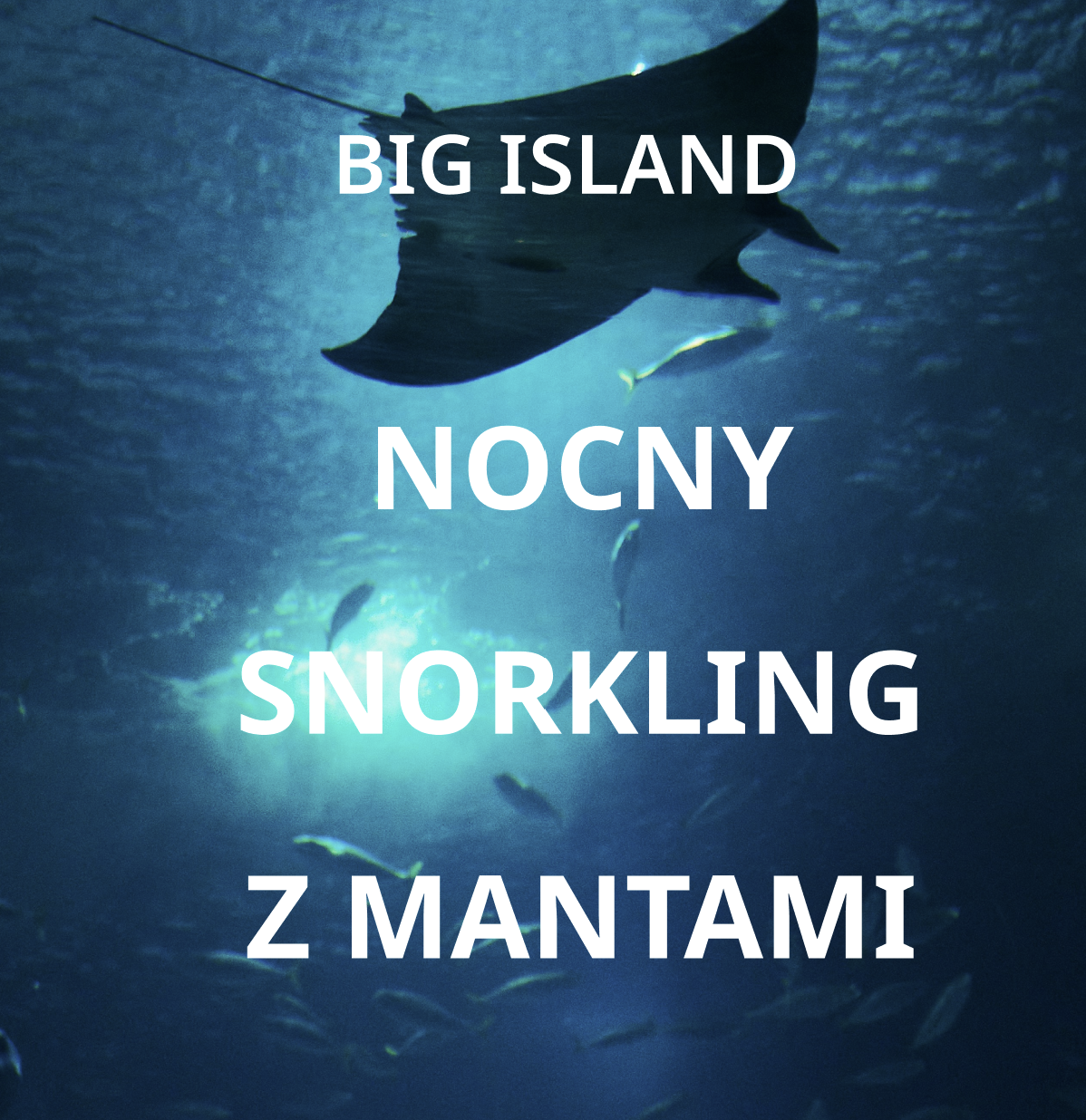 MANATA RAY.png