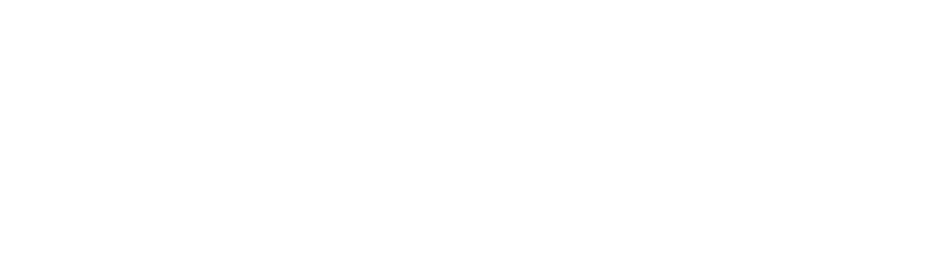 Manifesto