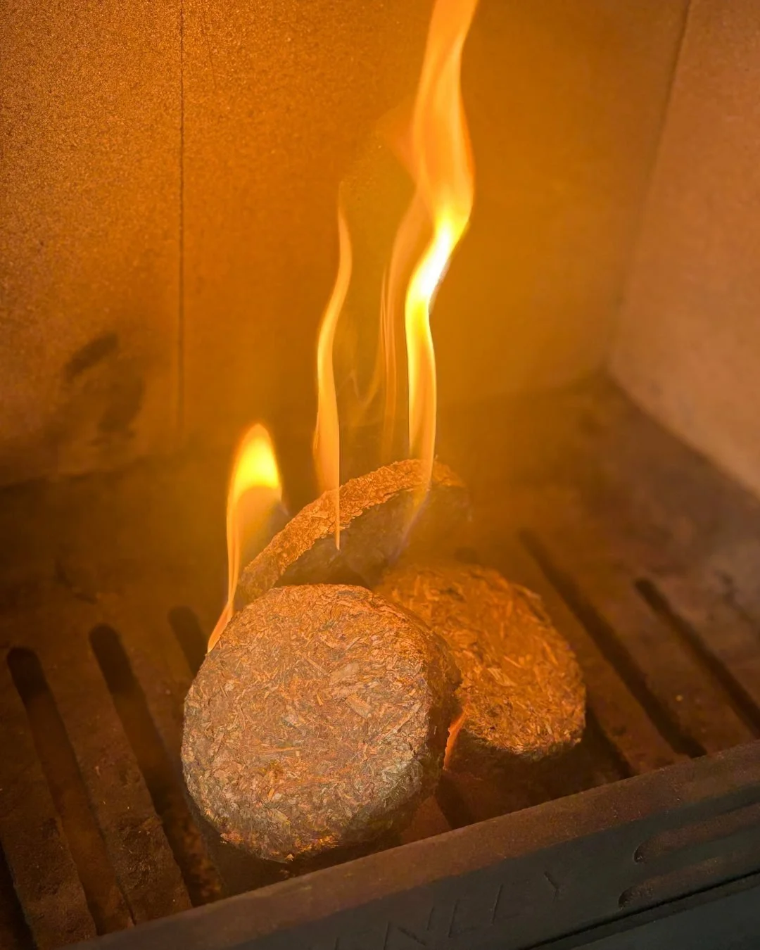 woodlogs-burning-stove.jpg