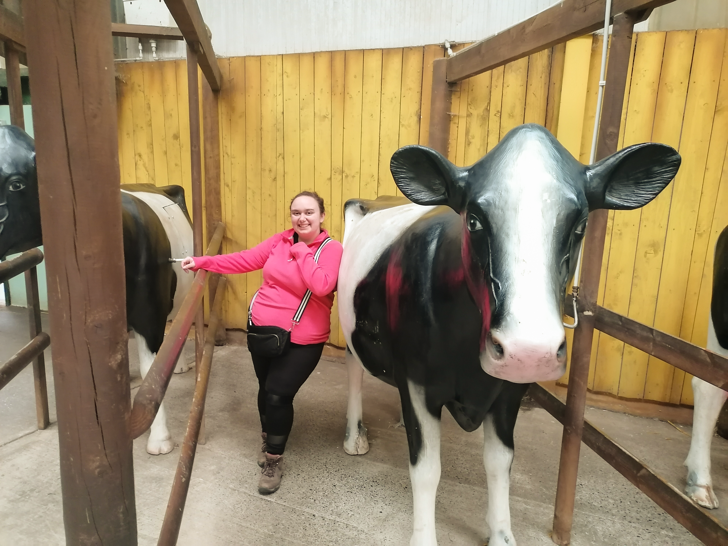 Plus size woman leaning against a fake cow at Folly Farm
