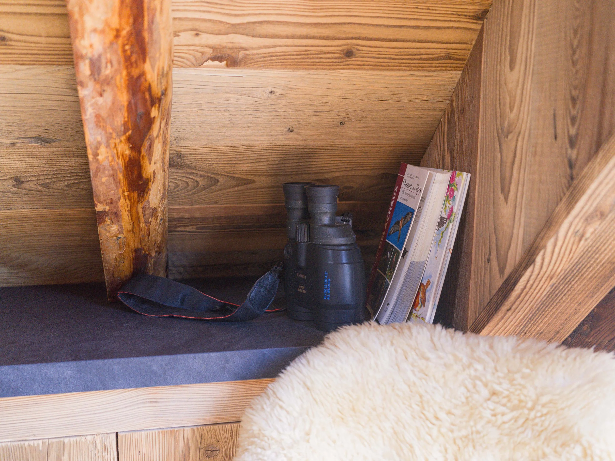 Vue intérieure d'une pièce en bois avec un sol recouvert de moquette gris foncé, un tapis blanc moelleux, une paire de jumelles noires, des livres éducatifs sur les oiseaux, un sac noir et un mur en bois orné d'une grosse poutre.