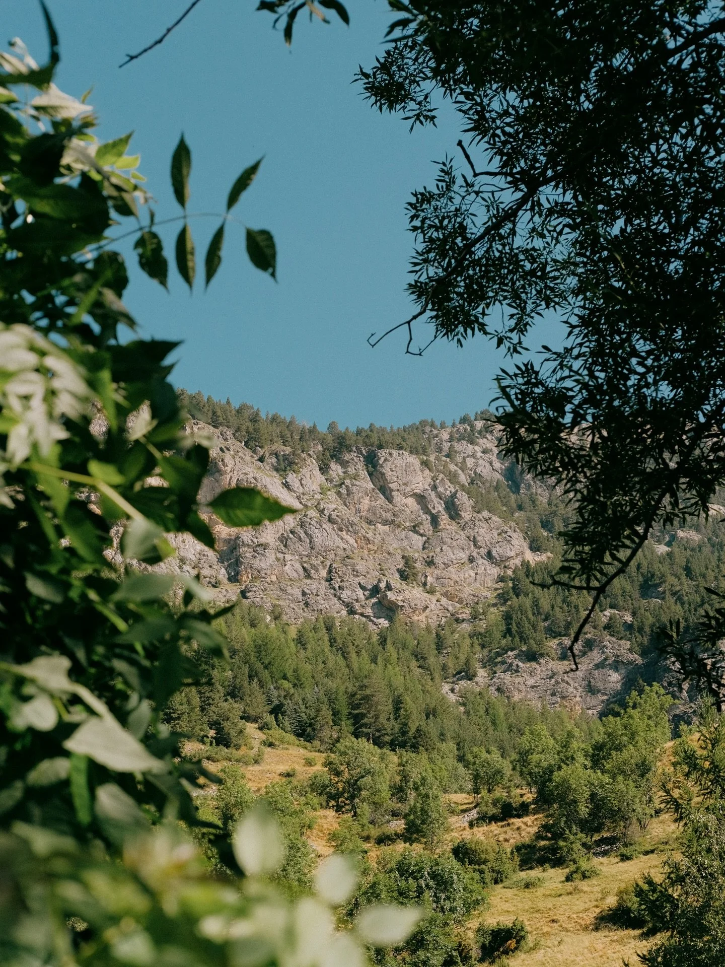 Breathe in the scent of alpine wildflowers and feel the rush of crystal-clear rivers&mdash;summer in Serre Chevalier brings adventure and renewal. From exhilarating hikes and cycling trails to family-friendly rafting, this vibrant corner of the Haute