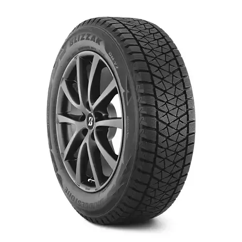 Bridgestone Blizzak DM-V2