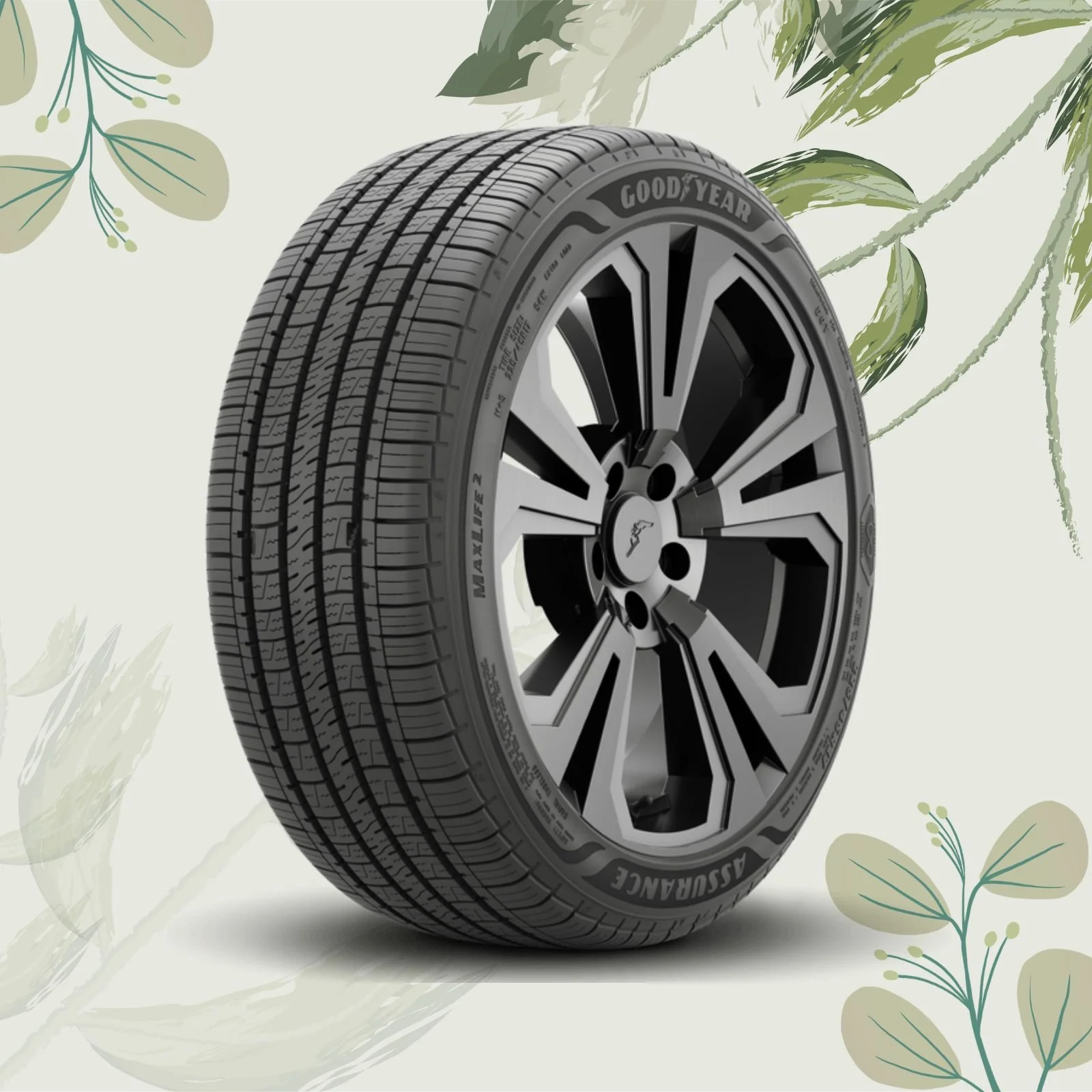 Seasonal Wheel Swap (On-Rim) in North York, Spring 2026