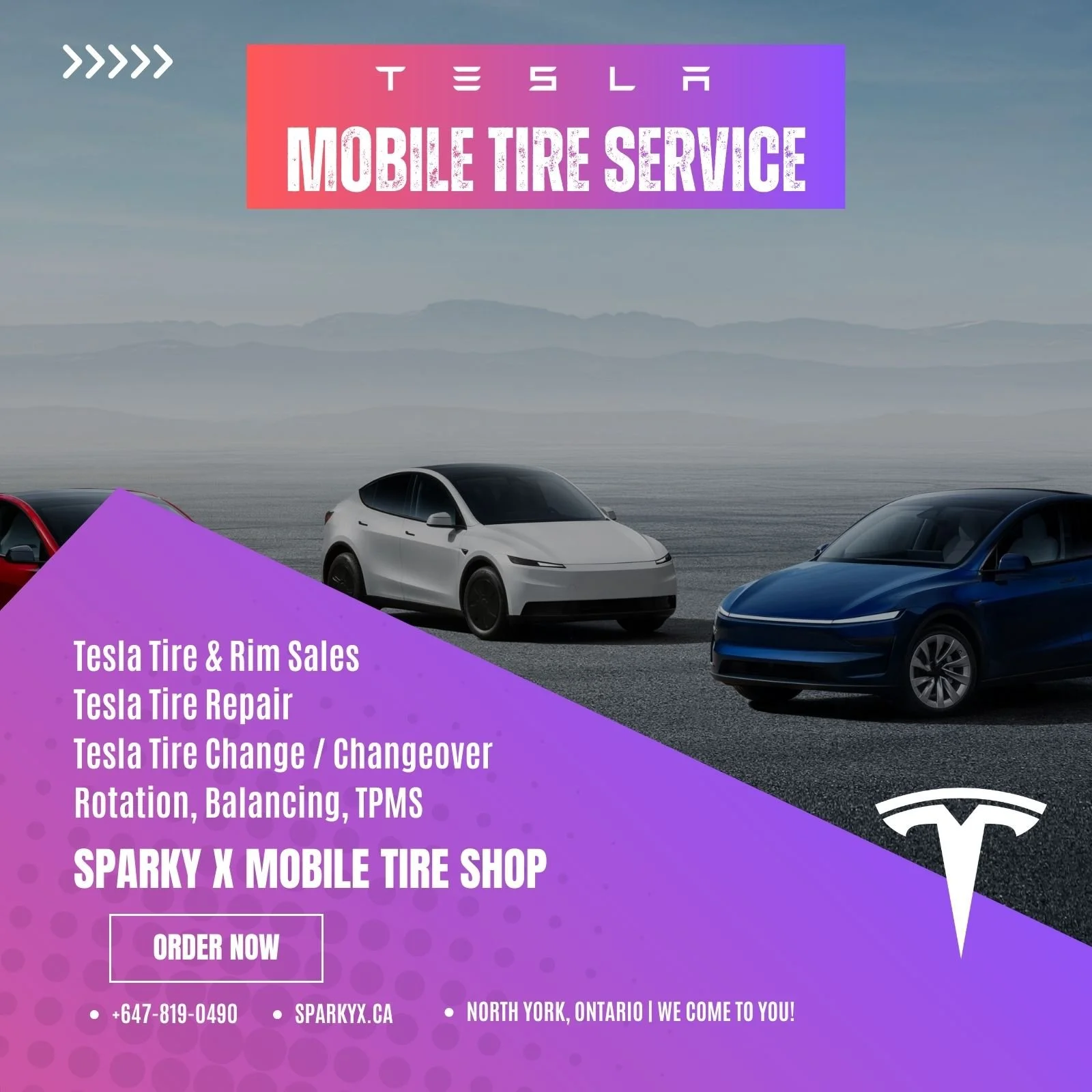 Tesla Mobile Tire Service in North York, Ontario