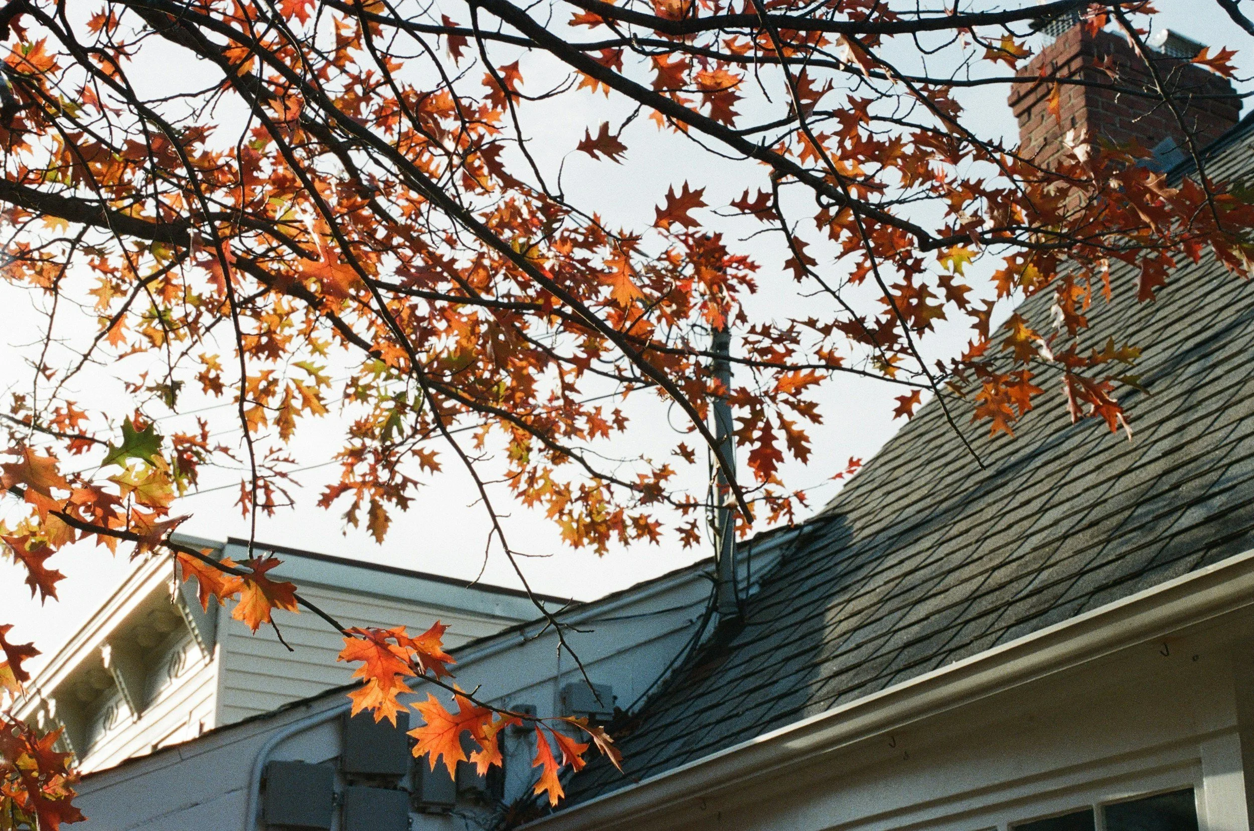 The Fall Maintenance List That Actually Matters in Wisconsin