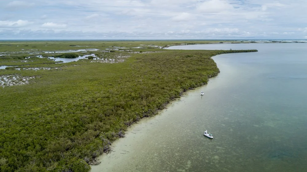 In Search of The Yucatán Grand Slam