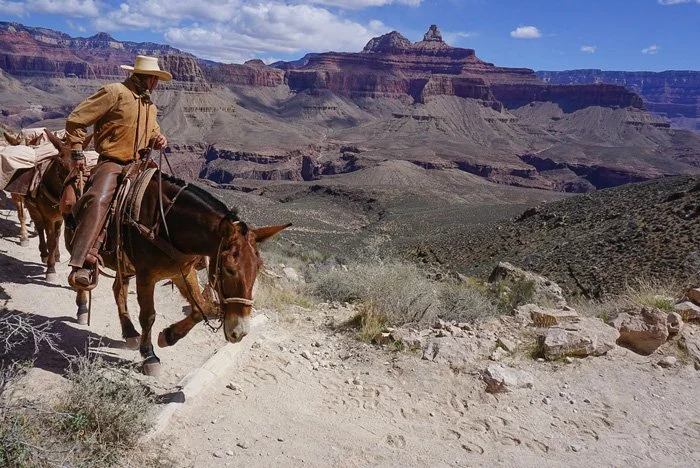 How You, Too, Can Join The One Percent