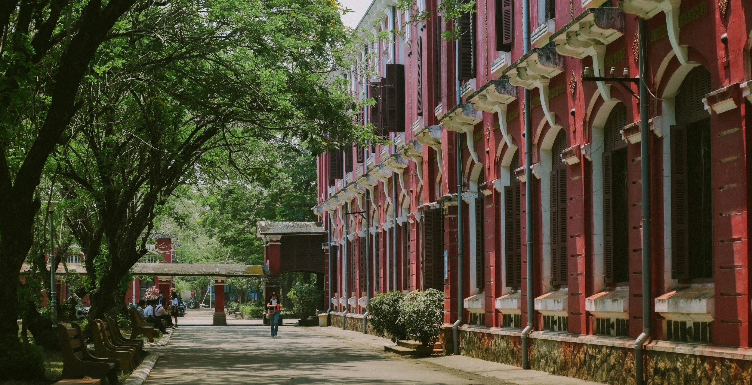 A tree-lined sidewalk in front of a red brick building with multiple windows.