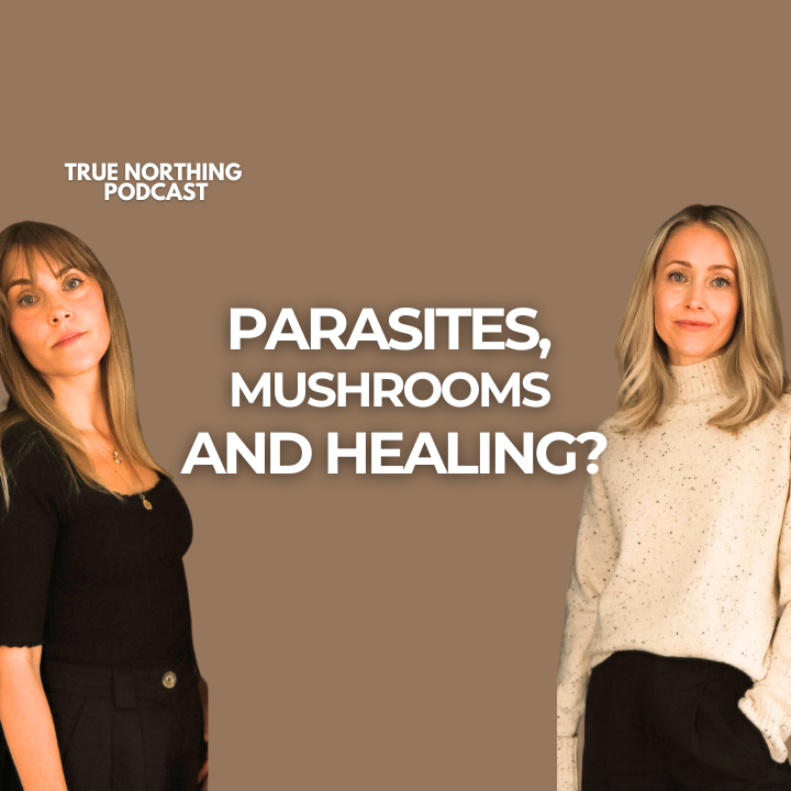 #28 - How Microdosing Supports Nervous System Regulation &amp; Deep Healing