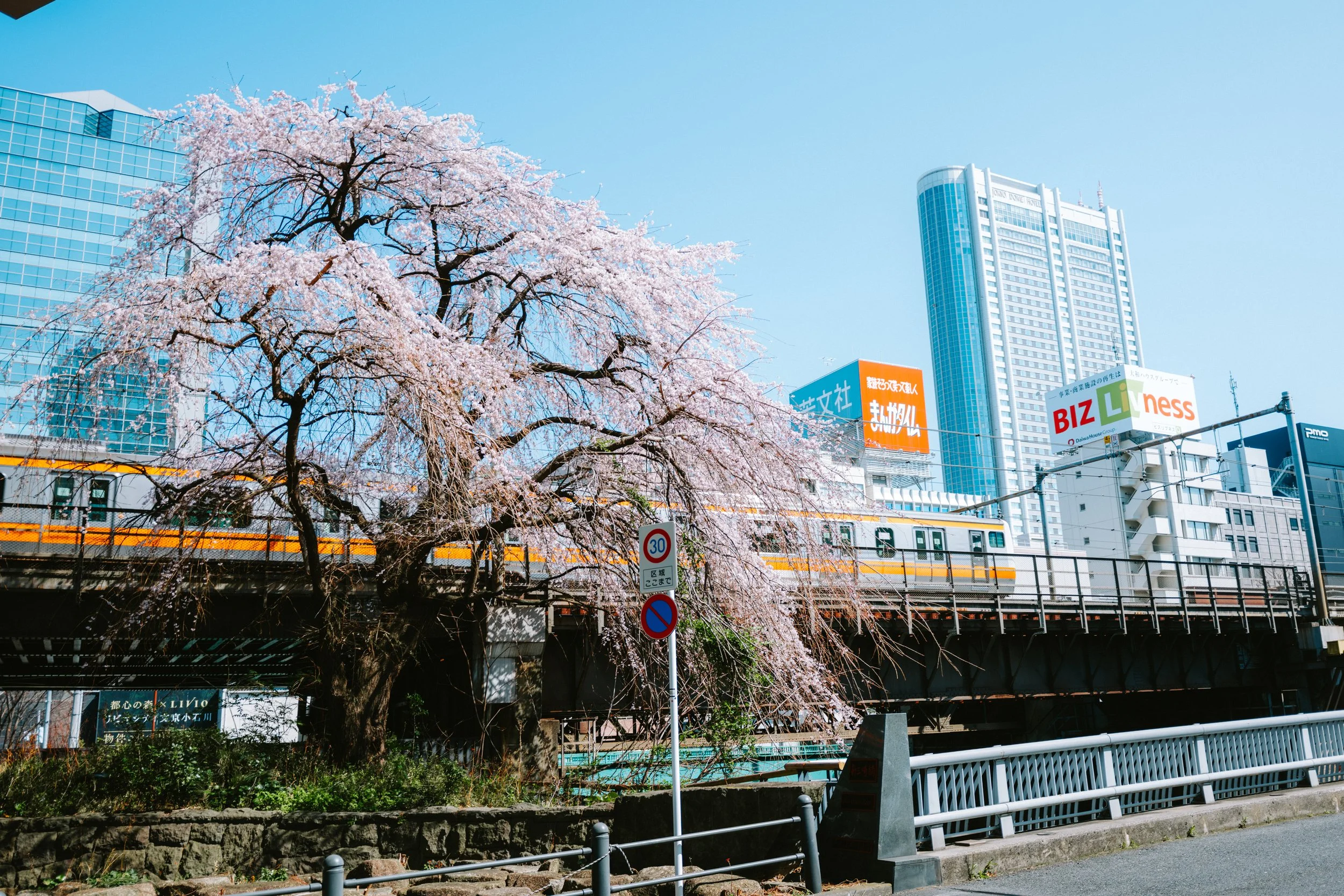Chiyoda City