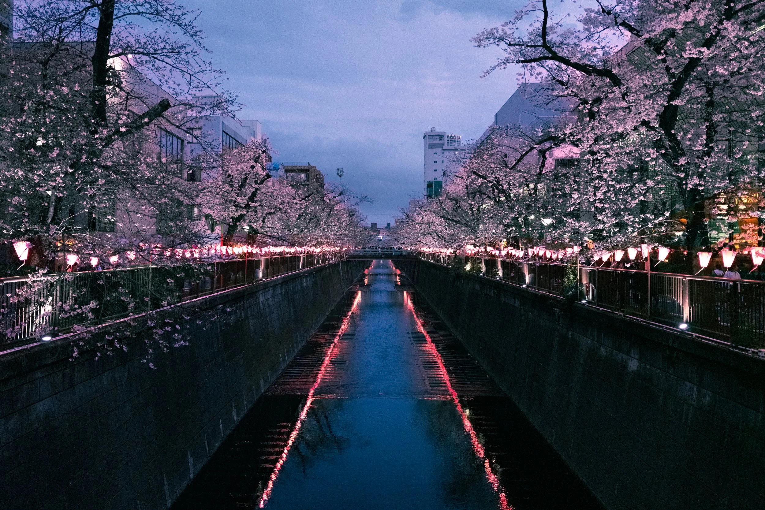 Meguro River