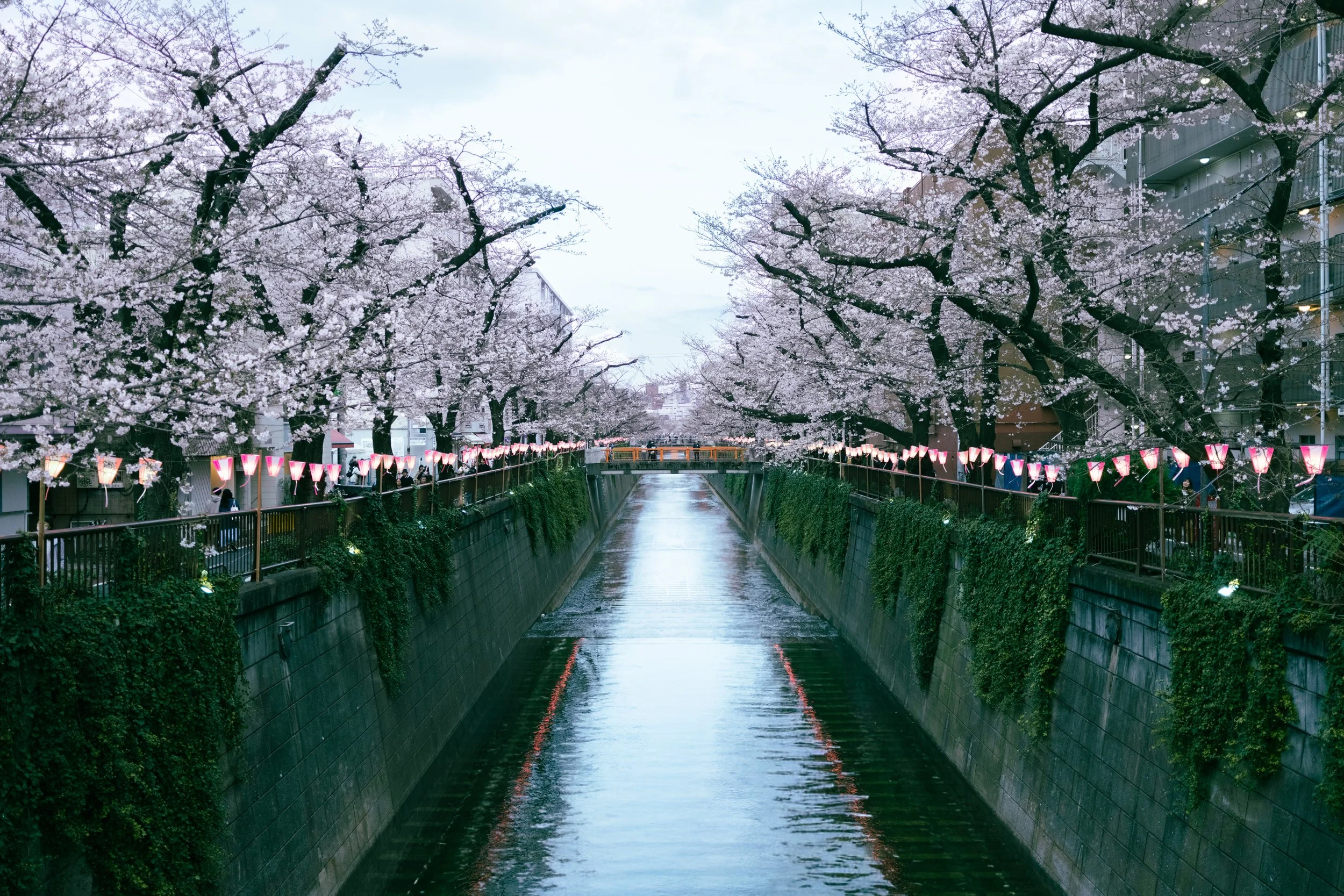 Meguro River