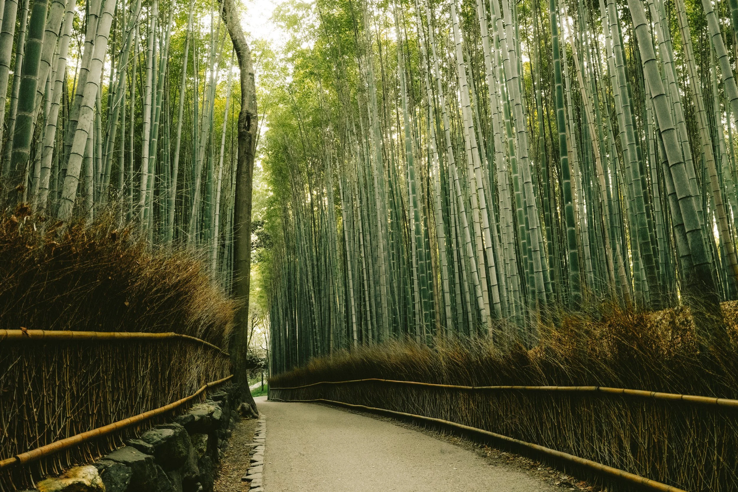 Arashiyama