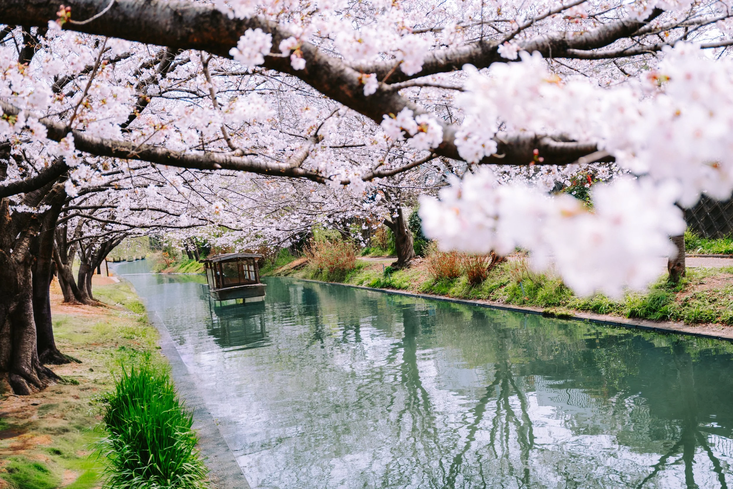 Fushimi Jukkokubune